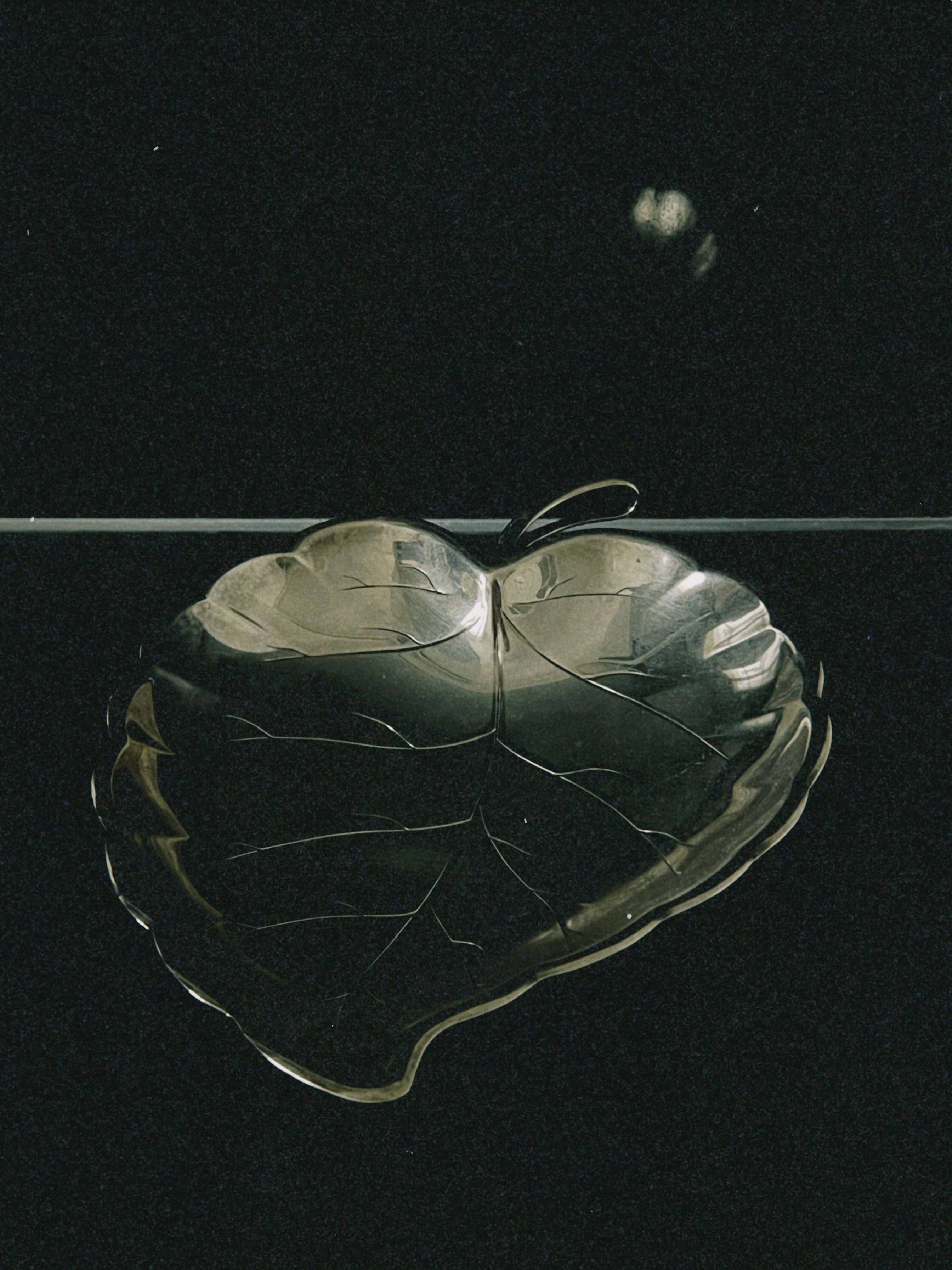 Silver Leaf Decorative Dish
