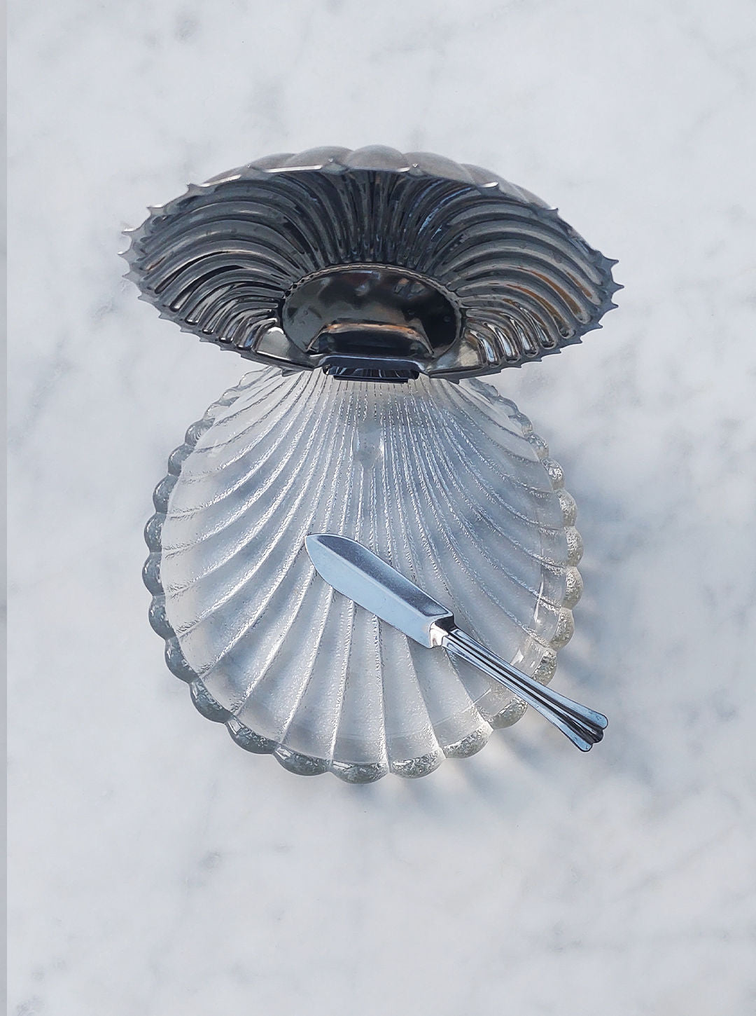 Large Shell Butter Dish Luxury Kitchenware Oblist