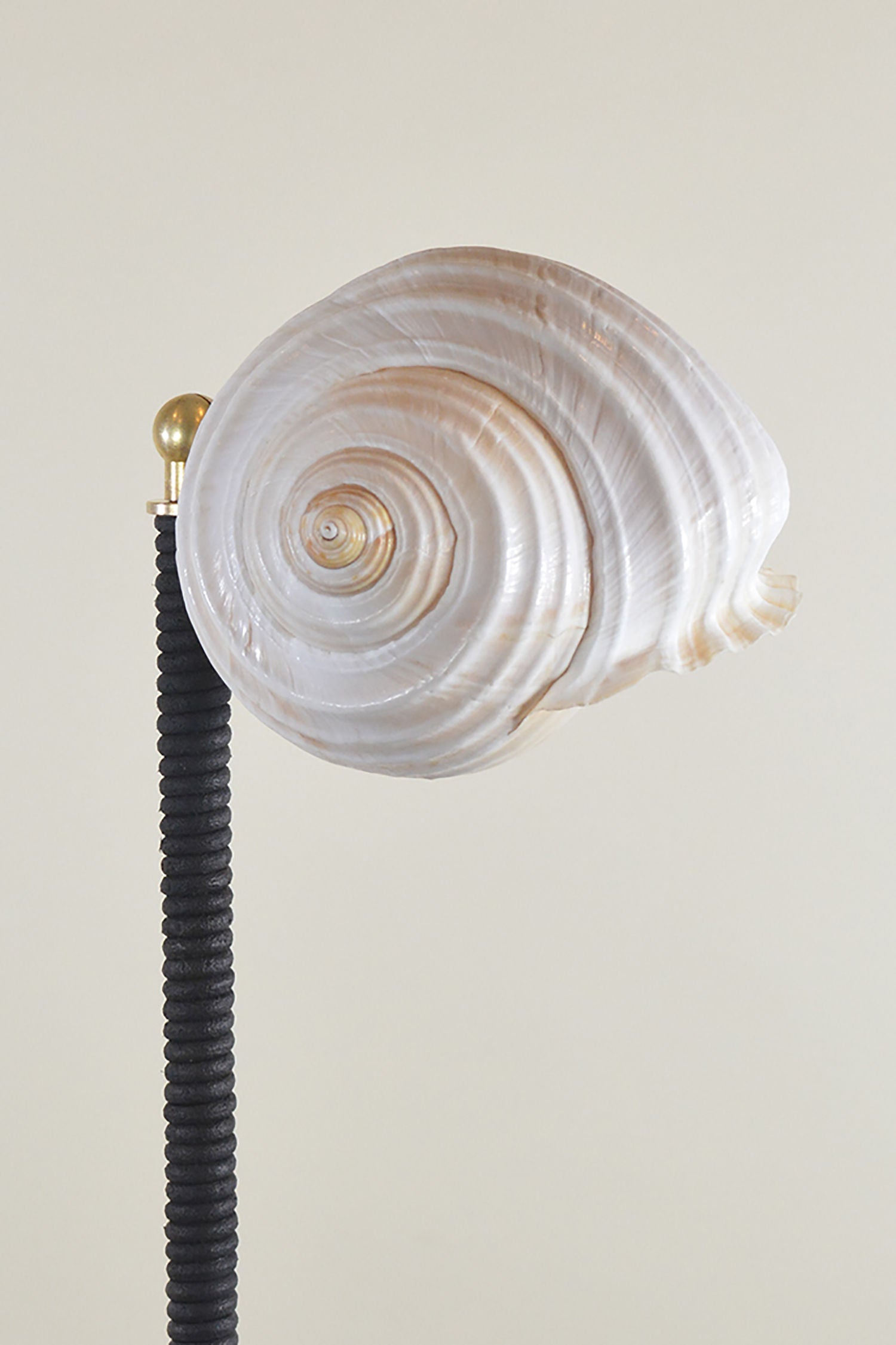 'L’Escargot' Table Lamp