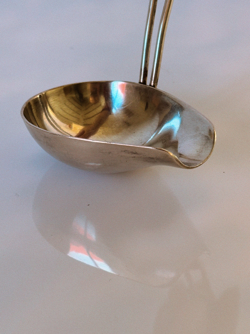 The Huerto Silver Plated & Amber Insert Serving Ladle rests on a smooth white surface, its gleaming finish and amber accent reflecting soft colors—a beautiful showcase of Polish artisan craftsmanship.