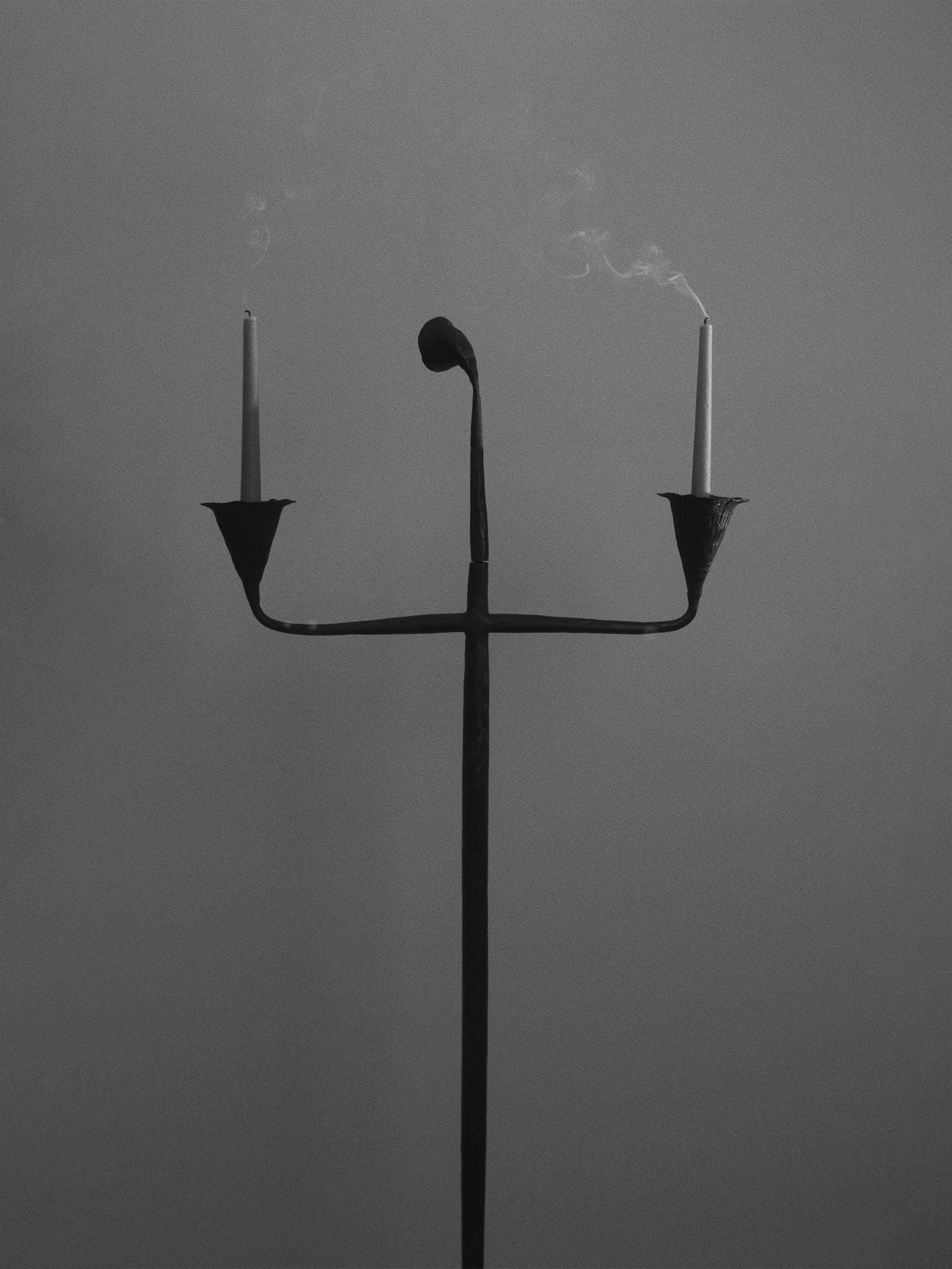 Campanula Candelabra