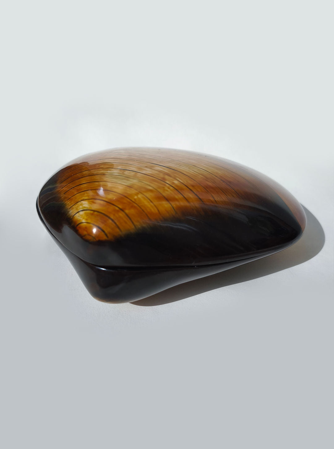Large Bakelite Shell Box