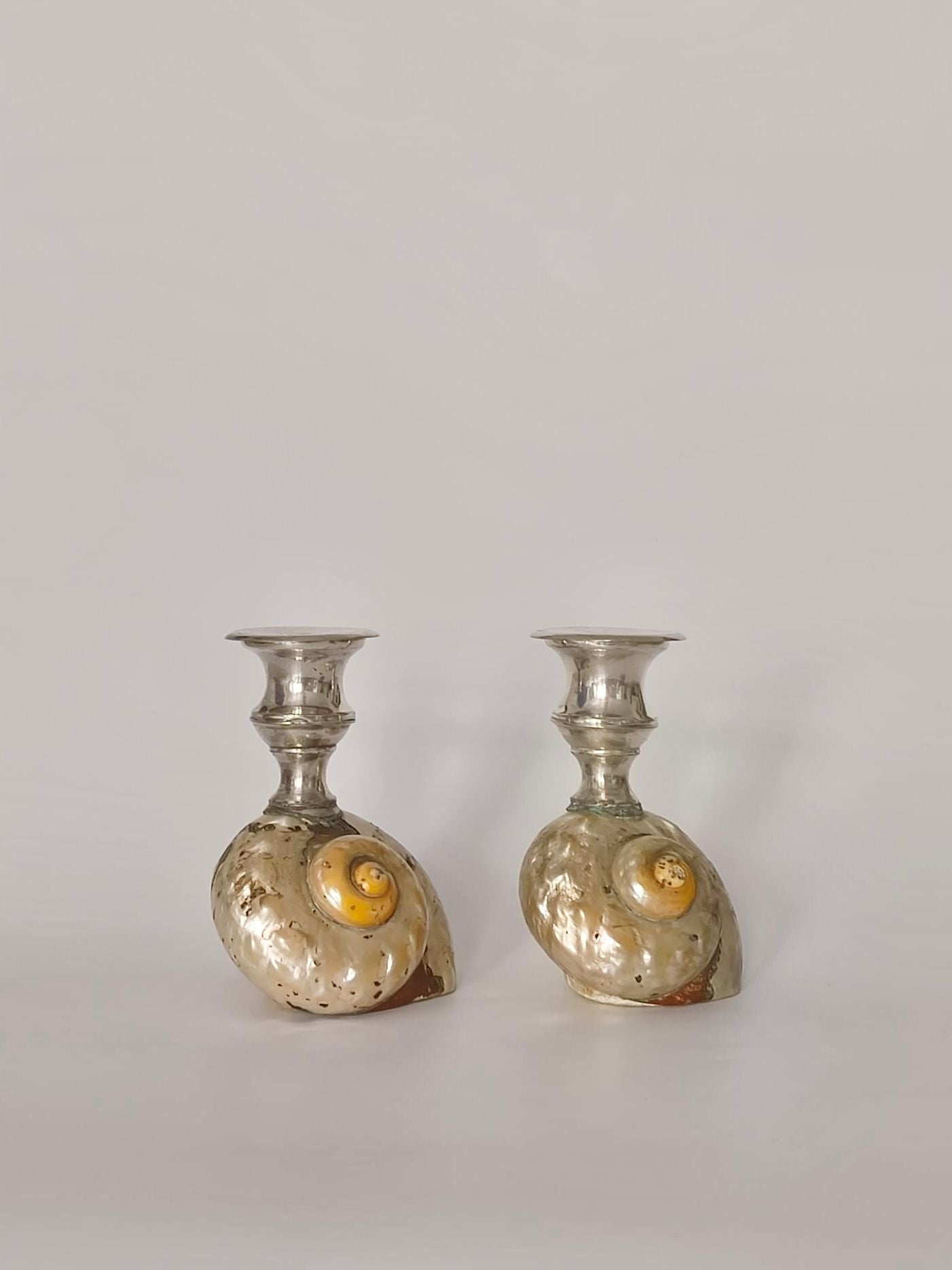 Antique Shell Candle Holders