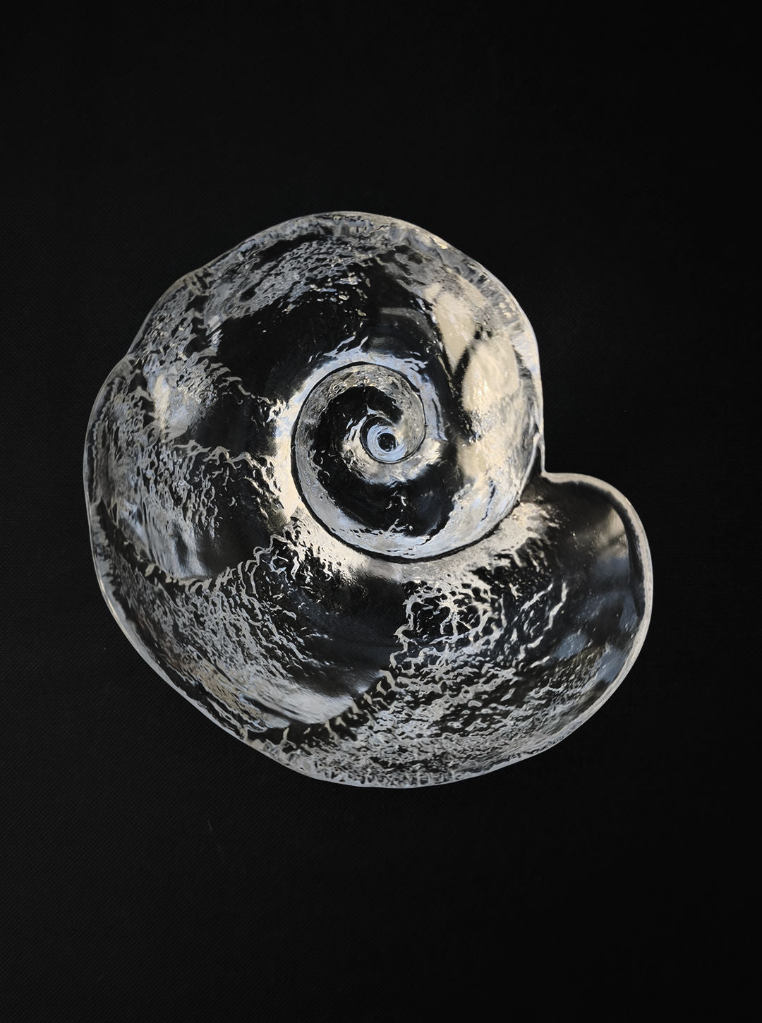 A transparent, shell-shaped sculpture crafted by Les Objoies, the Glass Shell Vide-Poches resembles a seashell with its intricate and heavily textured patterns set against a black backdrop. The piece captures light and shadows beautifully, showcasing craftsmanship reminiscent of a rare vide-poche masterpiece.