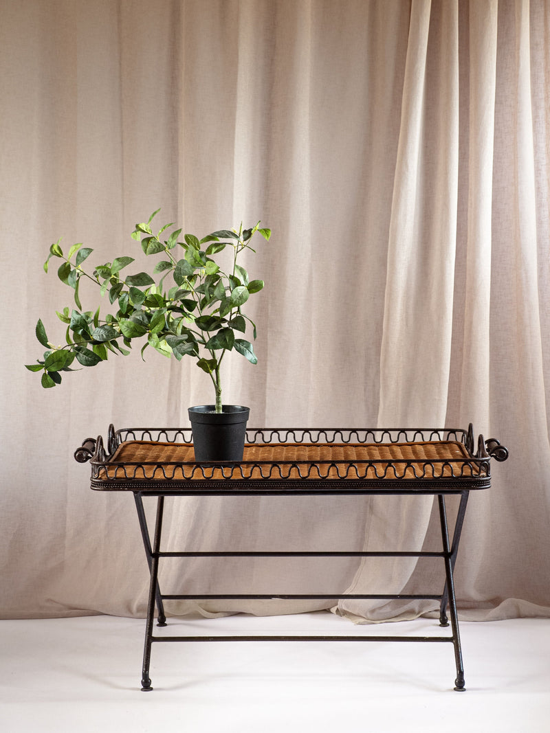Iron and rattan folding table with plant, lifestyle styling