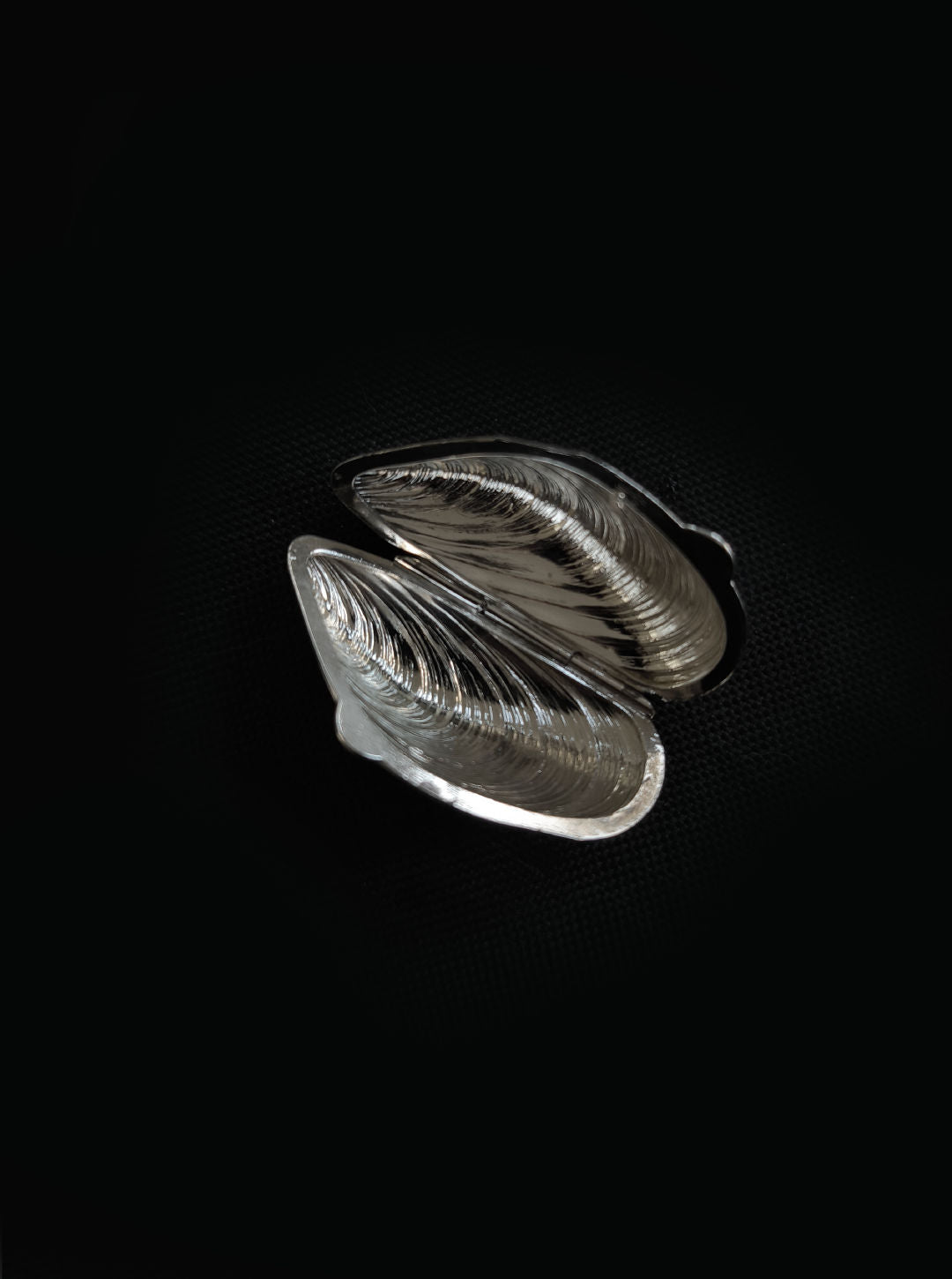 The Les Objoies Small Shell Box features shiny silver mussel shells slightly open to reveal a smooth interior, set against a plain black background.