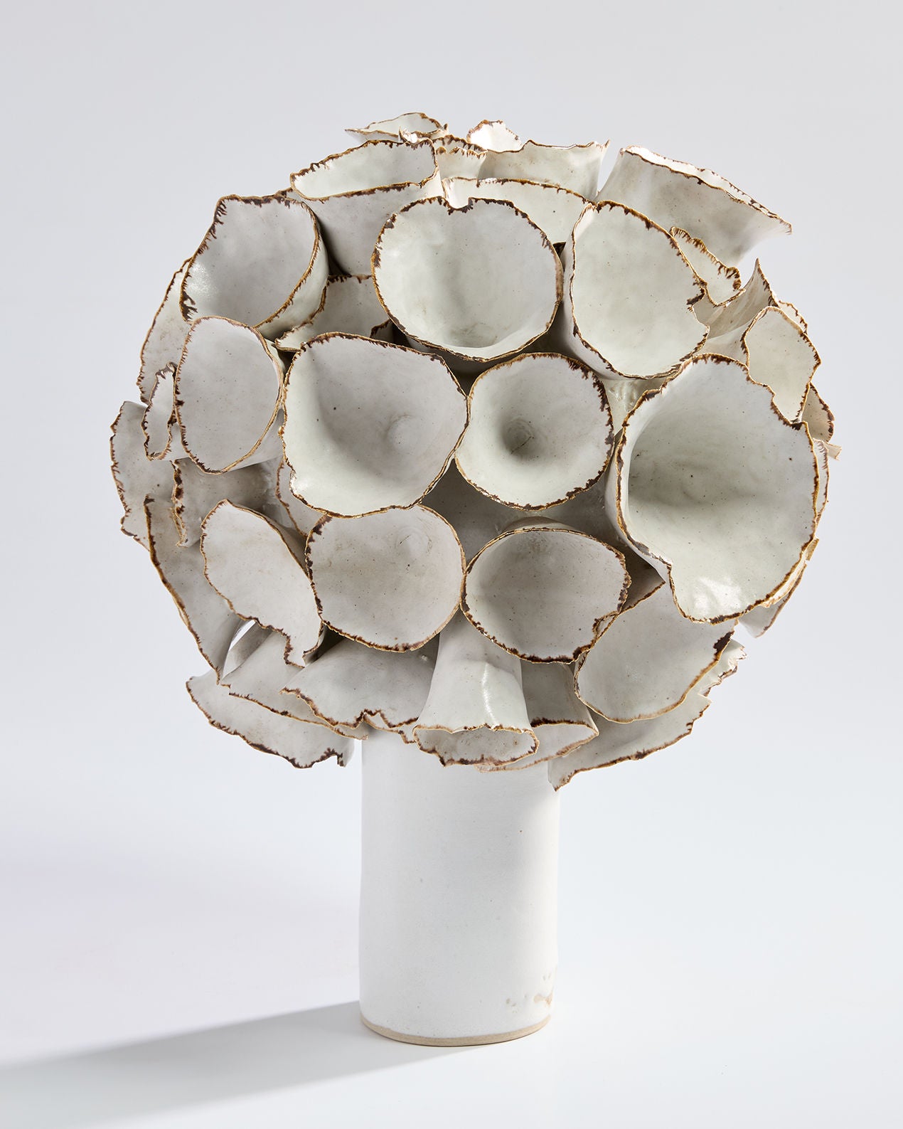 Large Organic Form by Deirdre Burnett (1939-2022)