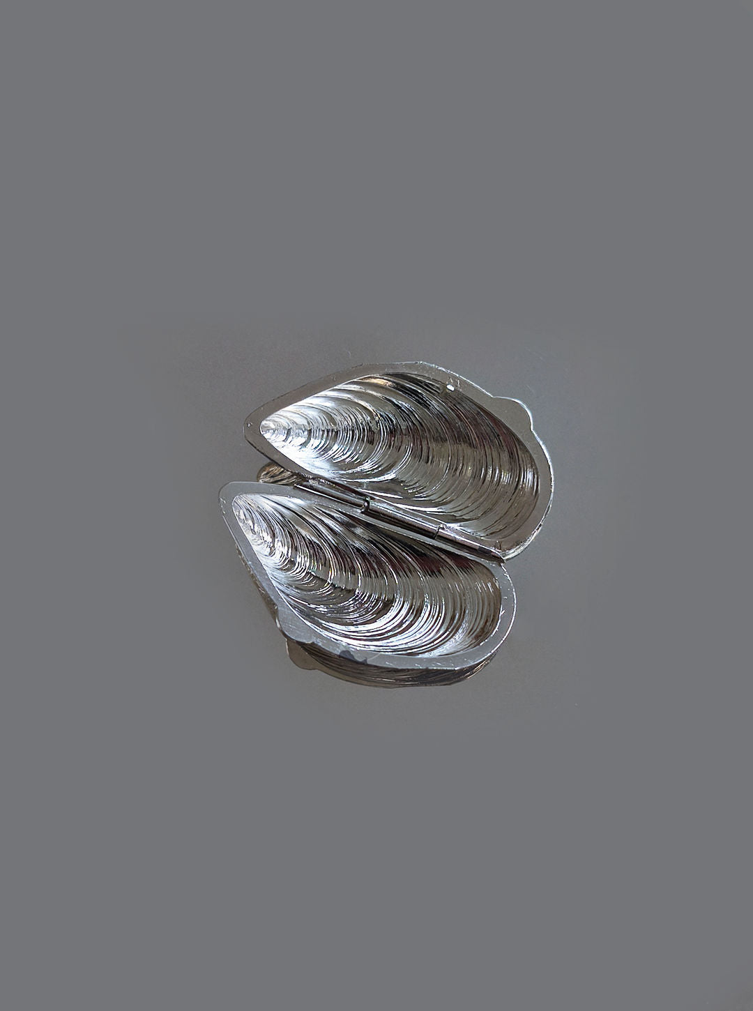 The Small Shell Box by Les Objoies is a silver-colored, open mussel shell with intricate reflective patterns against a plain gray backdrop. It's compact and ideal for discreet medication storage or use as a small pill box.