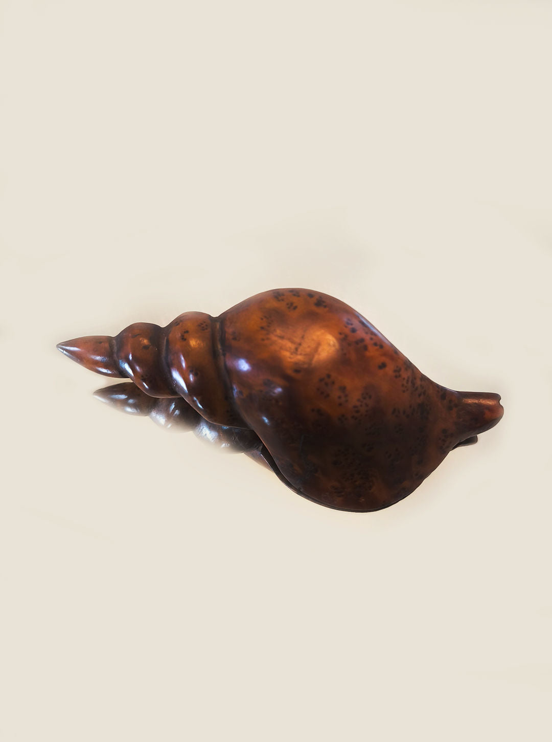 The Les Objoies Carved Wooden Seashell, with its polished brown finish and smooth, shiny surface, is displayed against a plain light background. Reminiscent of sculpted seashells, it boasts distinct spiral curves and natural speckled patterns suggestive of rustic craftsmanship.