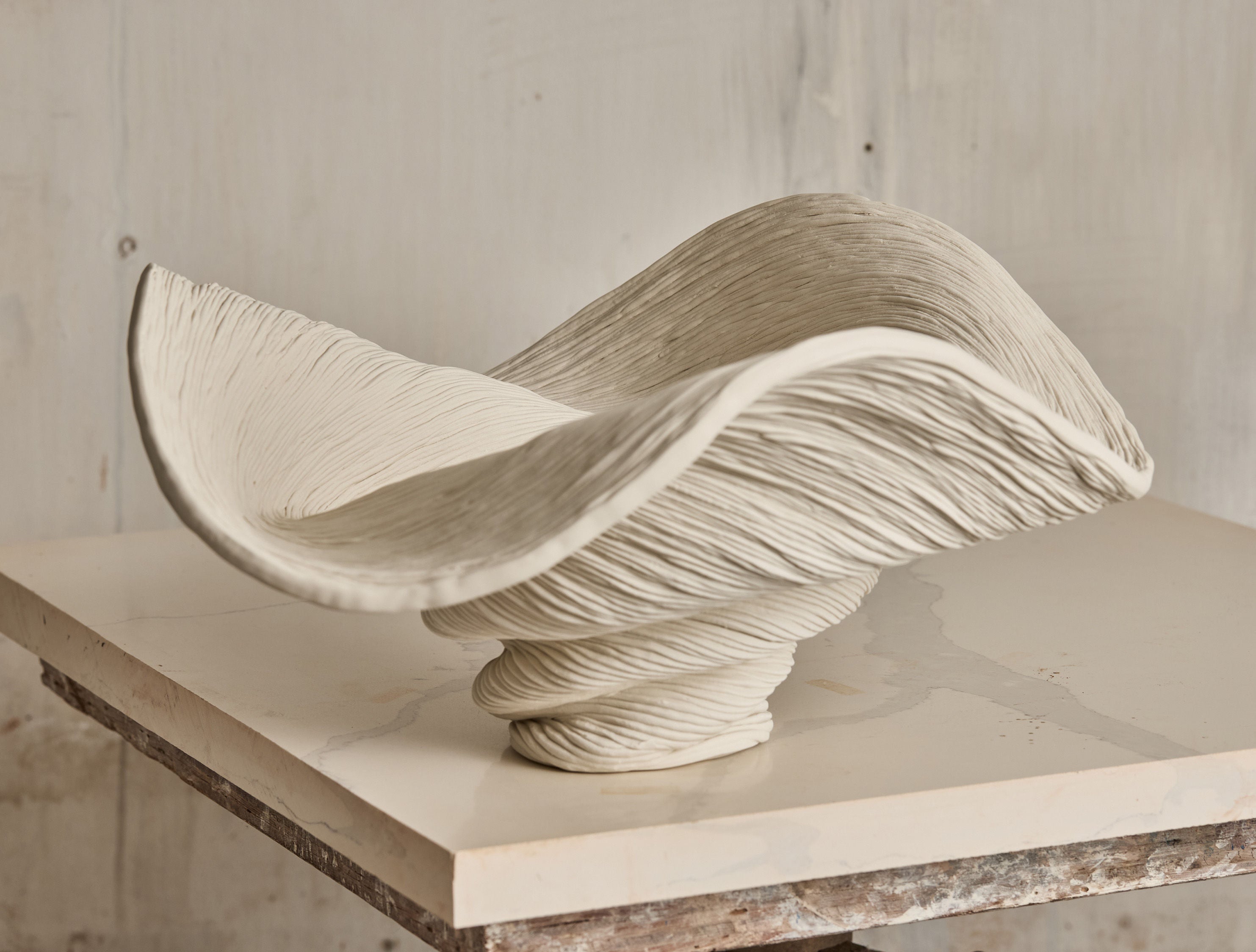 Large Porcelain Bowl