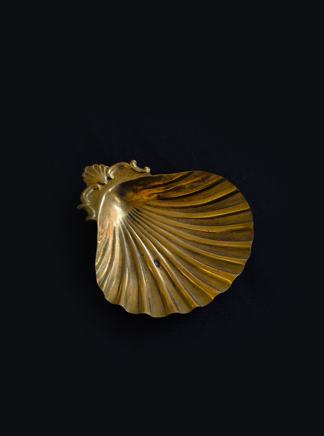 The Shell Brass Vide Poche by Les Objoies, with its intricate details, brings a sophisticated touch to any setting when placed against a dark background.