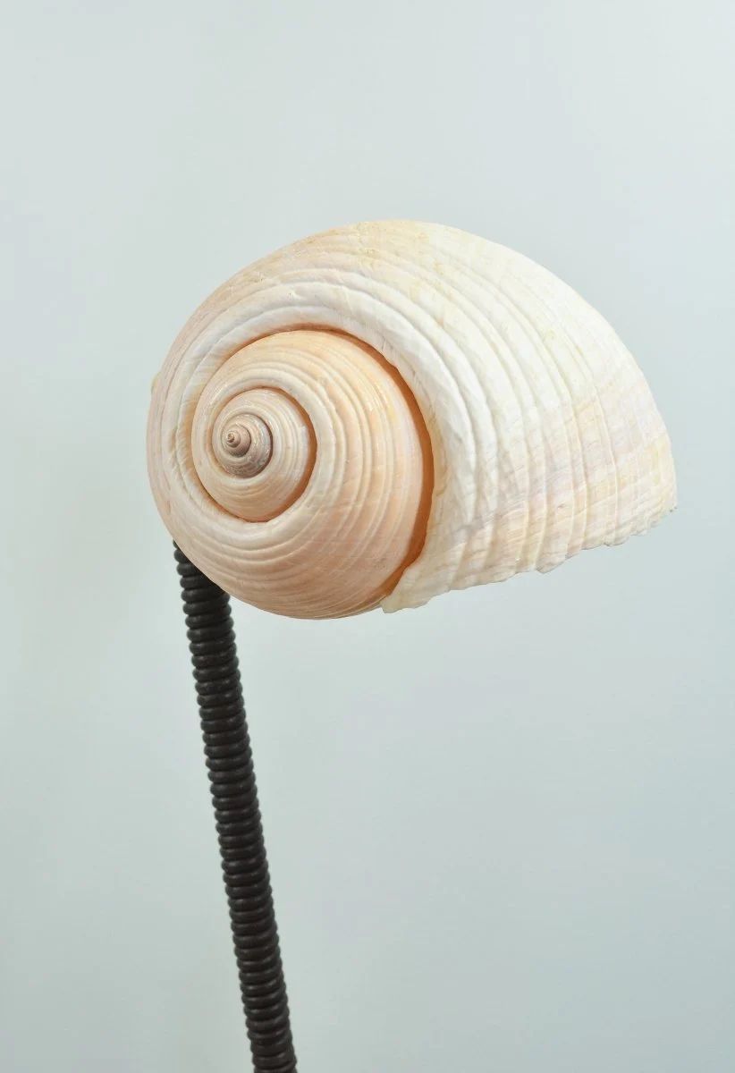 'L’Escargot' Table Lamp