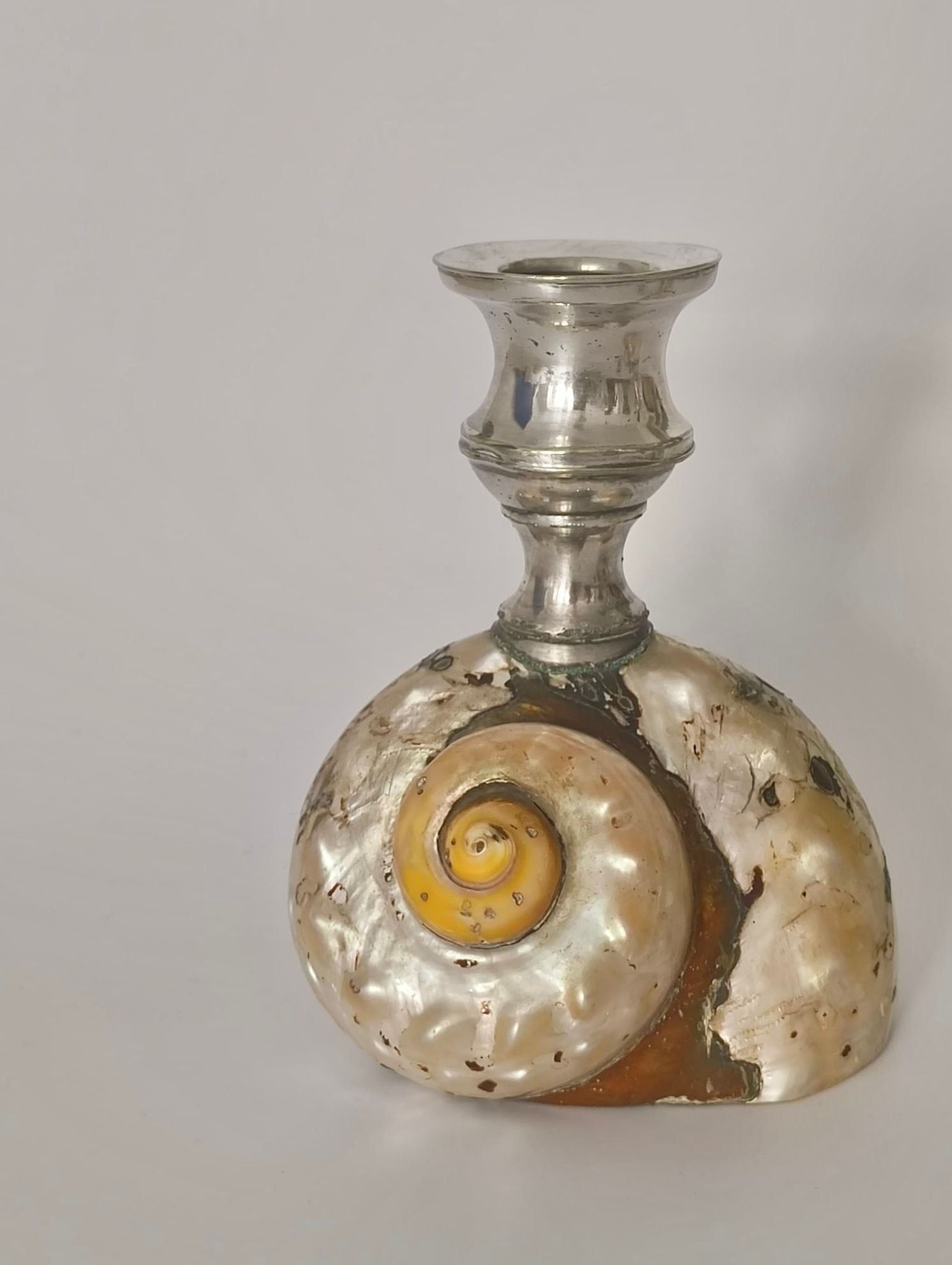 Antique Shell Candle Holders