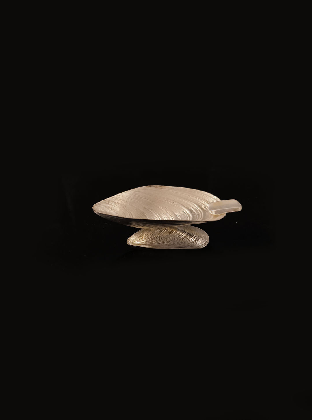 A Small Shell Ashtray by Les Objoies features two intertwined shells made from smooth, silver-coated material, standing elegantly against a dark background.