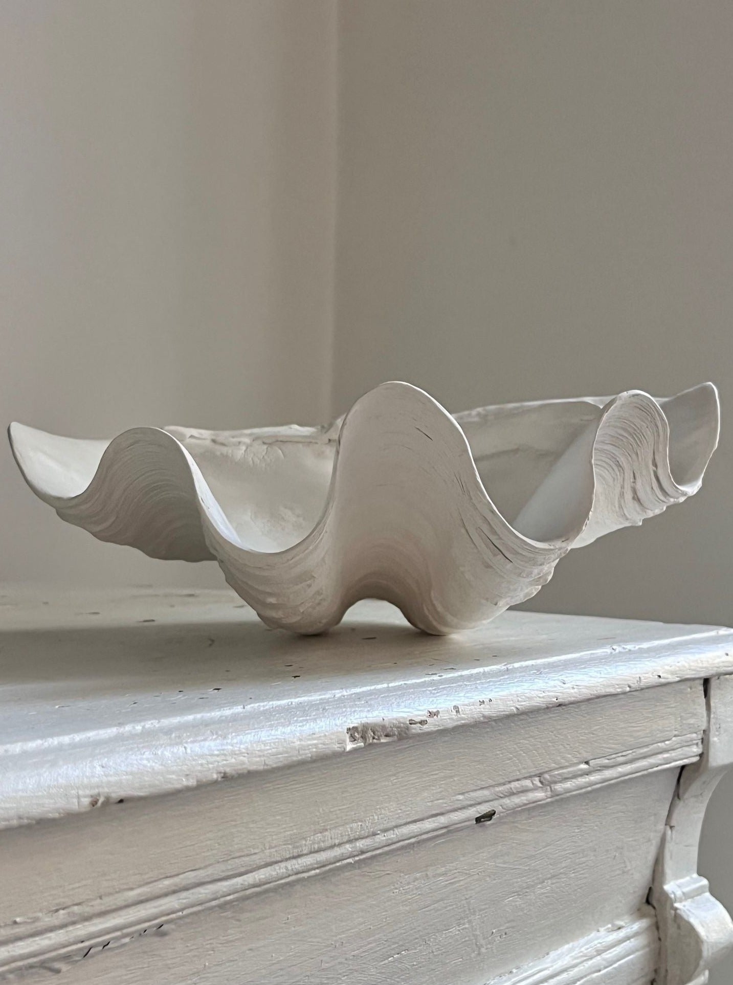 The Médecine Clam Shell Bowl, a handmade plaster sculpture with wavy, white seashell design, sits on a distressed light wood surface against a neutral wall.