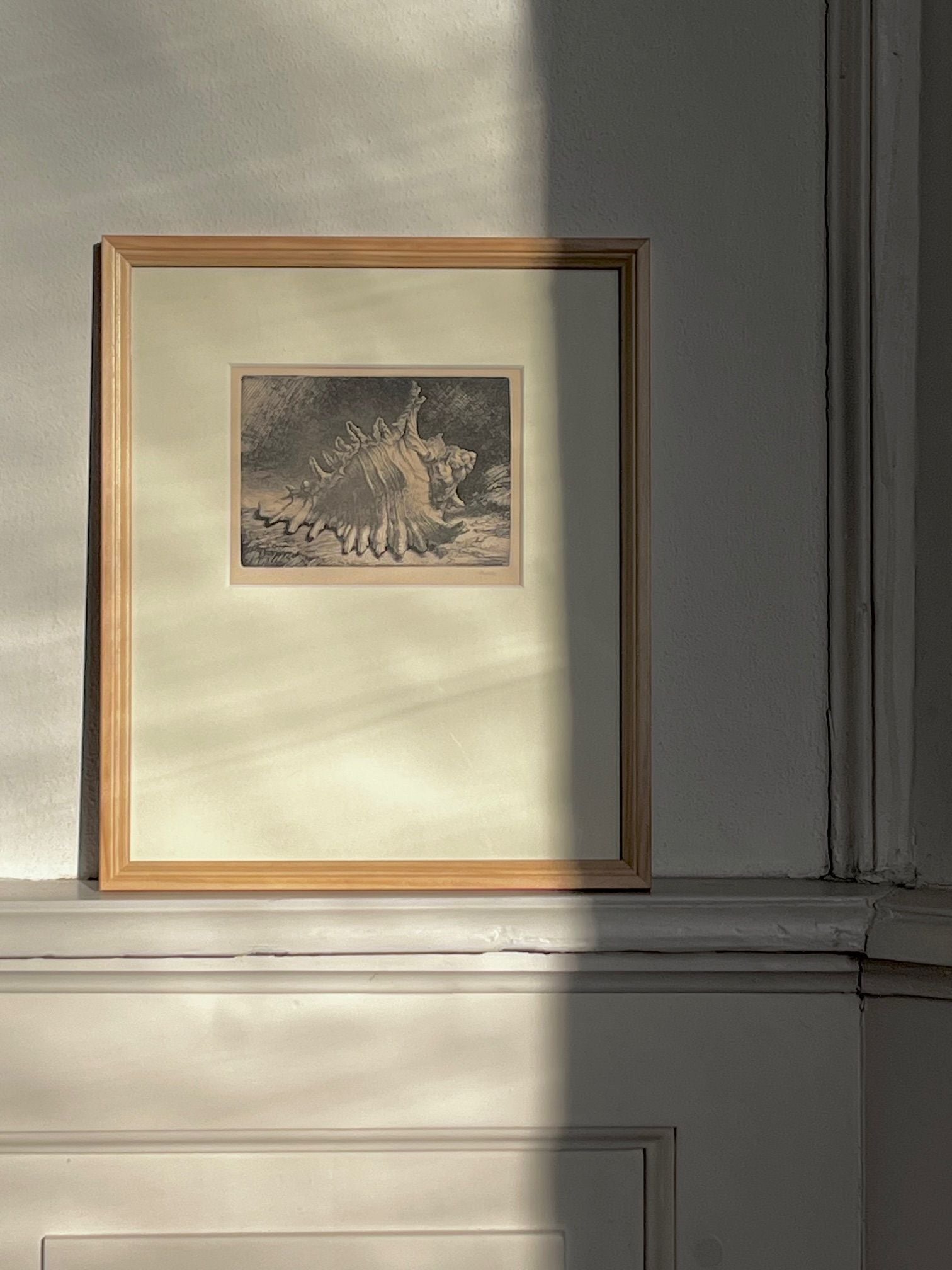 A framed Shell Etching by Médecine, showing a delicate seashell design by a Swedish artist, is on the wall. Sunlight highlights the natural oak frame, creating a calm and serene atmosphere.