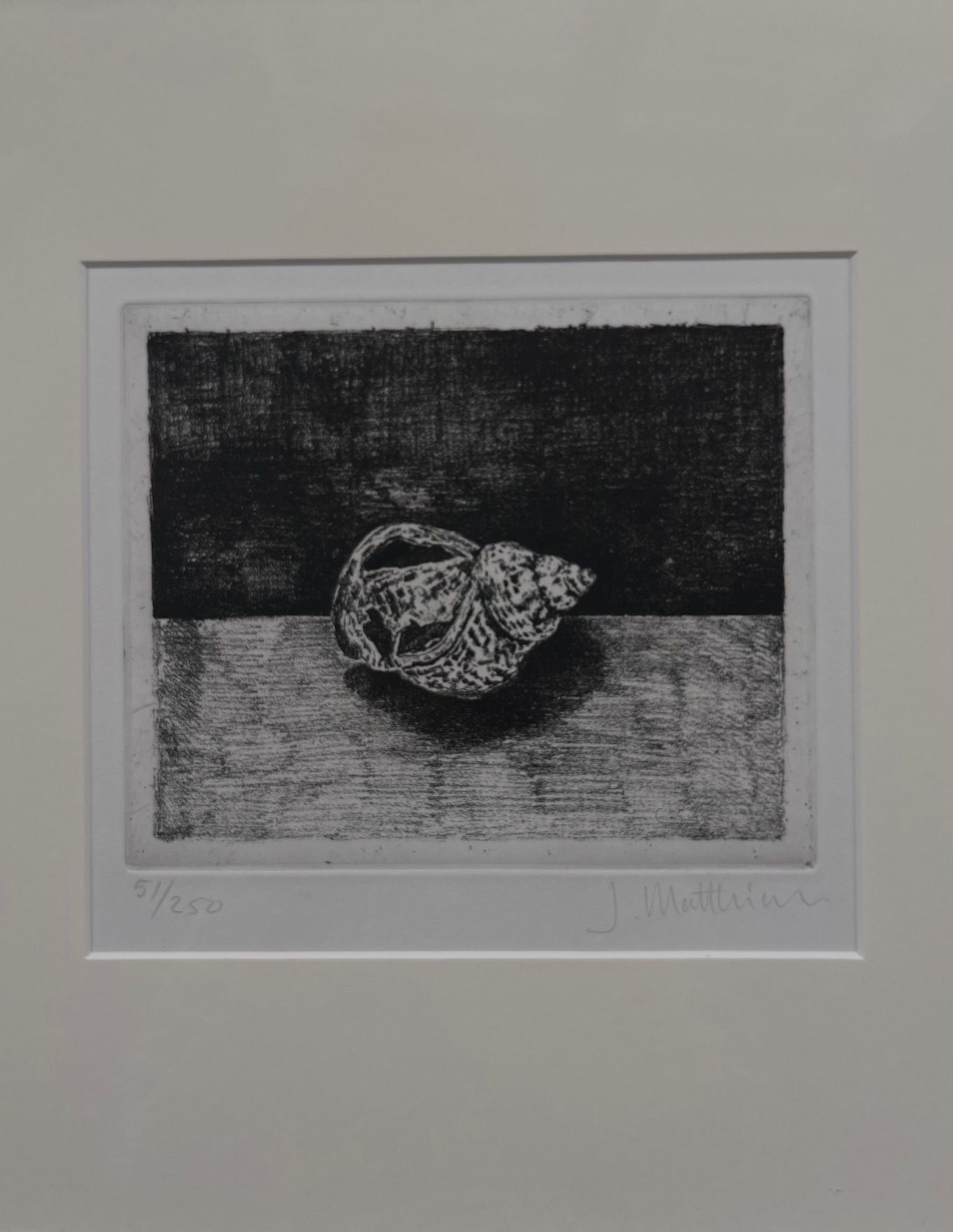 Shell Etching II by Médecine features a black and white nautilus design on a split dark/light background. It's framed, signed, and numbered 51/250 by the Scandinavian artist.