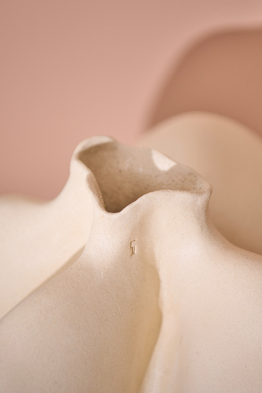 'Anatomy of a Curve' Vase