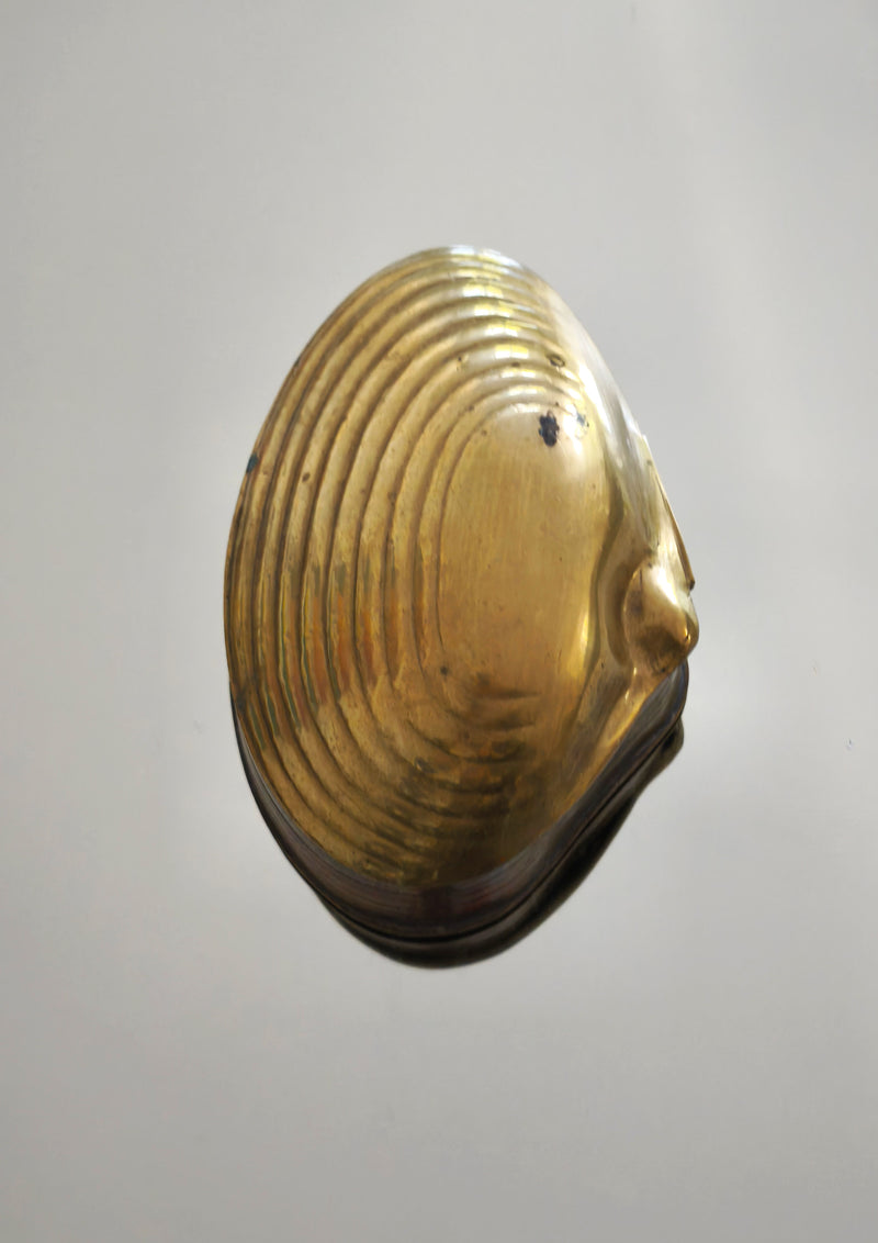 A reflective gray background showcases an exquisite object: the Les Objoies Brass Shell Box, featuring a shiny gold finish with a smooth surface and elegant shell patterns, reminiscent of fine jewelry storage.