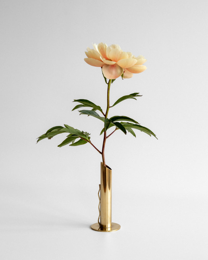 Cream peony in mid-century brass vase by Ystad Metall