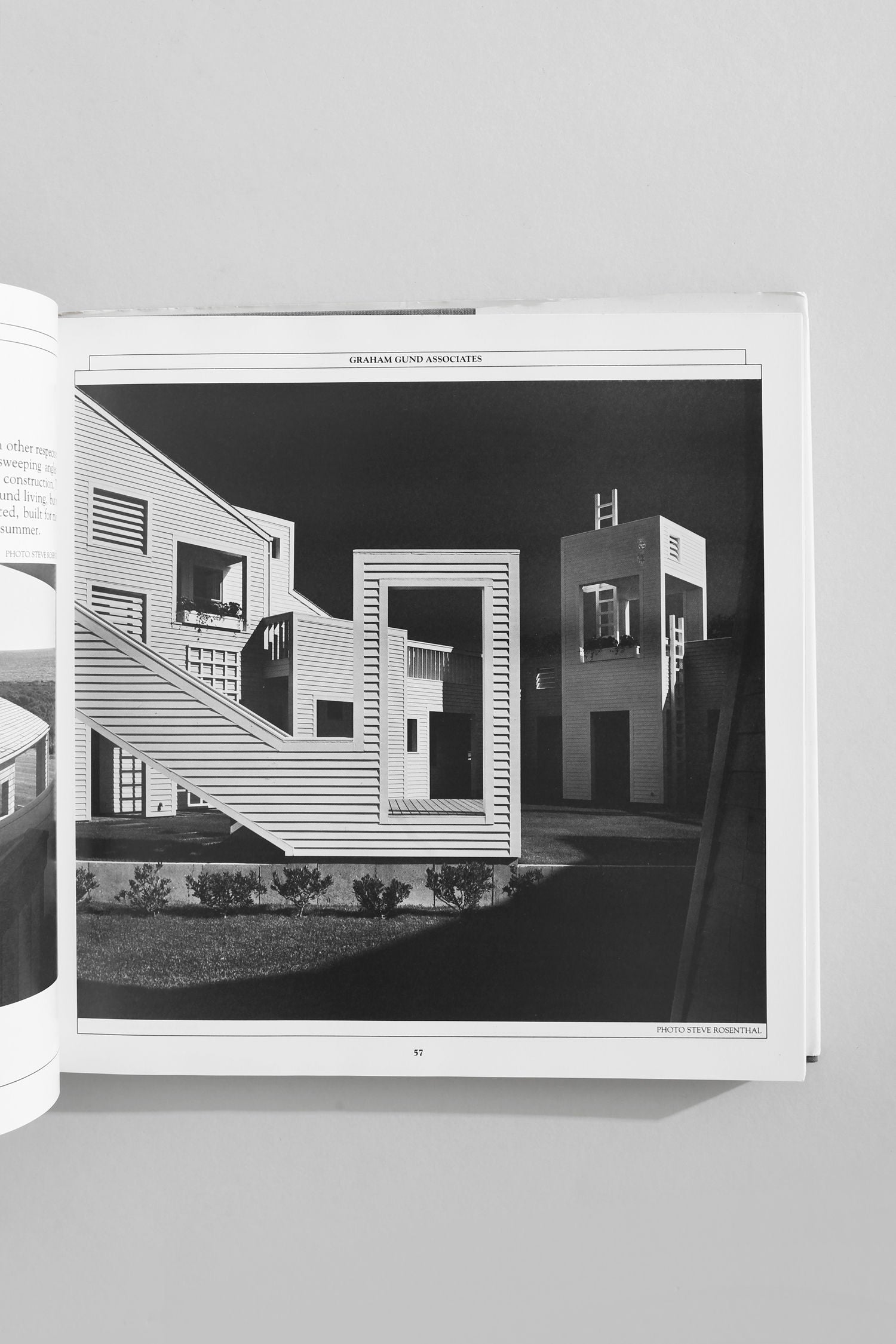 Ornamentalism Book