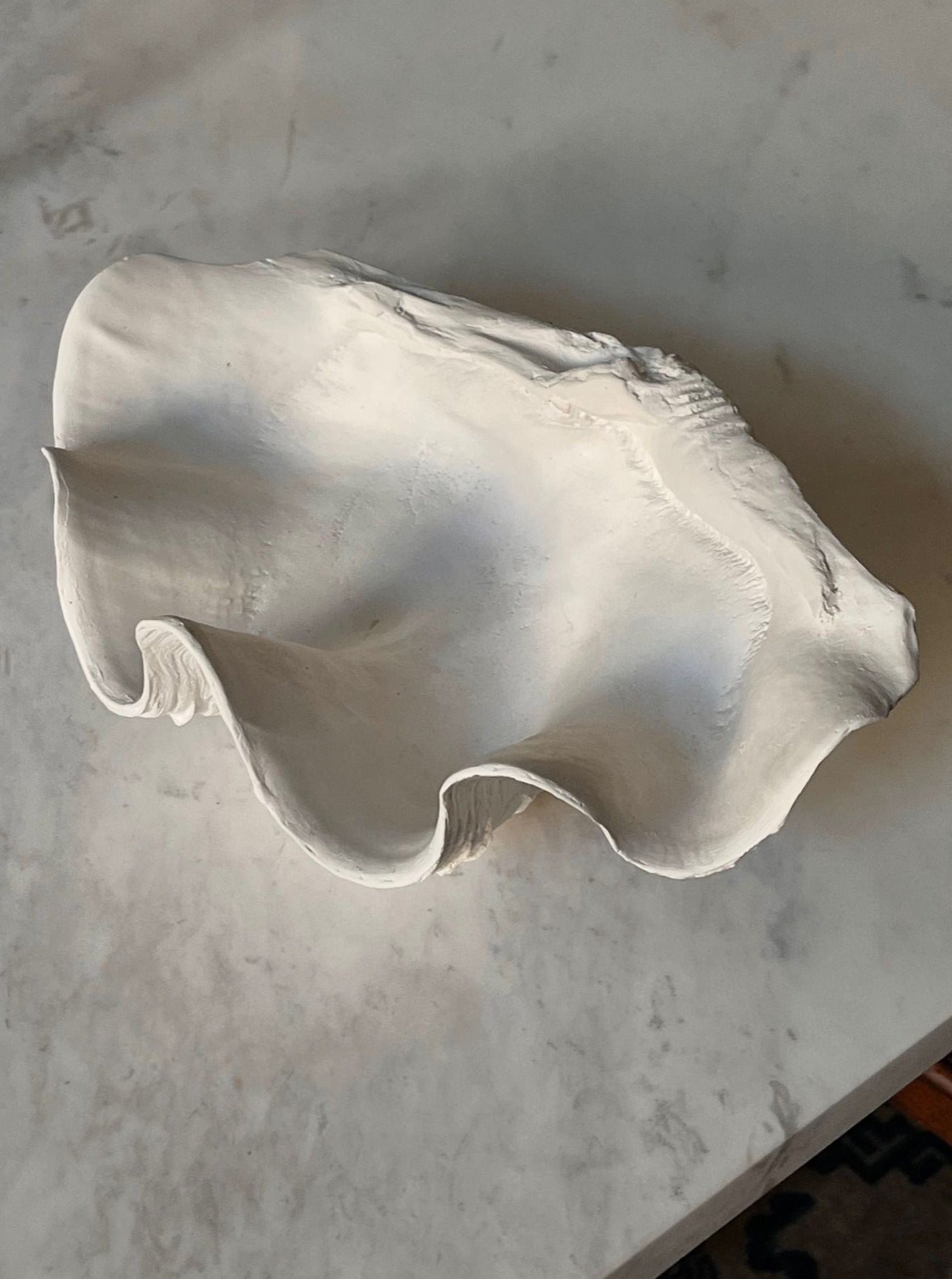 The Clam Shell Bowl – Handmade Plaster Sculpture by Médecine features natural curves and a textured, white finish, making it a striking decorative fruit bowl that resembles a giant clam atop a light gray marble surface.