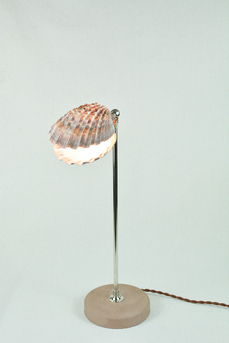 Lavender Lion's Paw shell table lamp on concrete base detail view