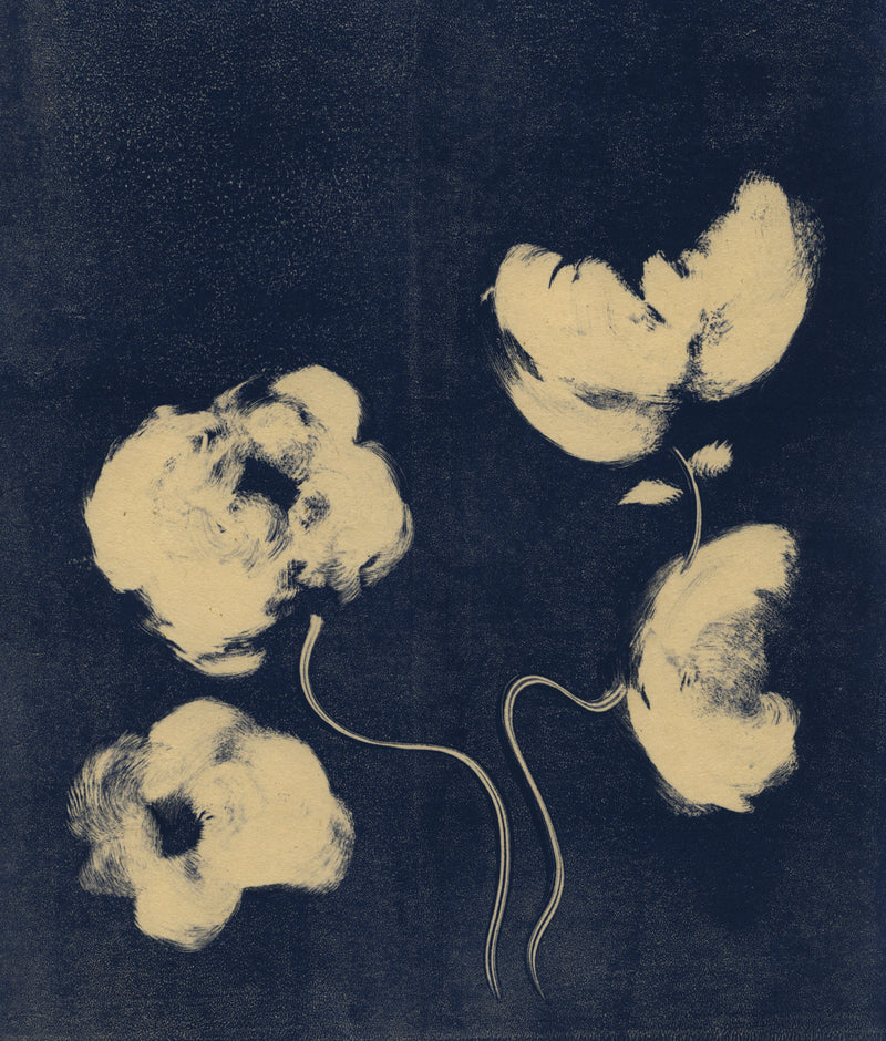 Bloom III botanical drawing with delicate cream flowers on navy