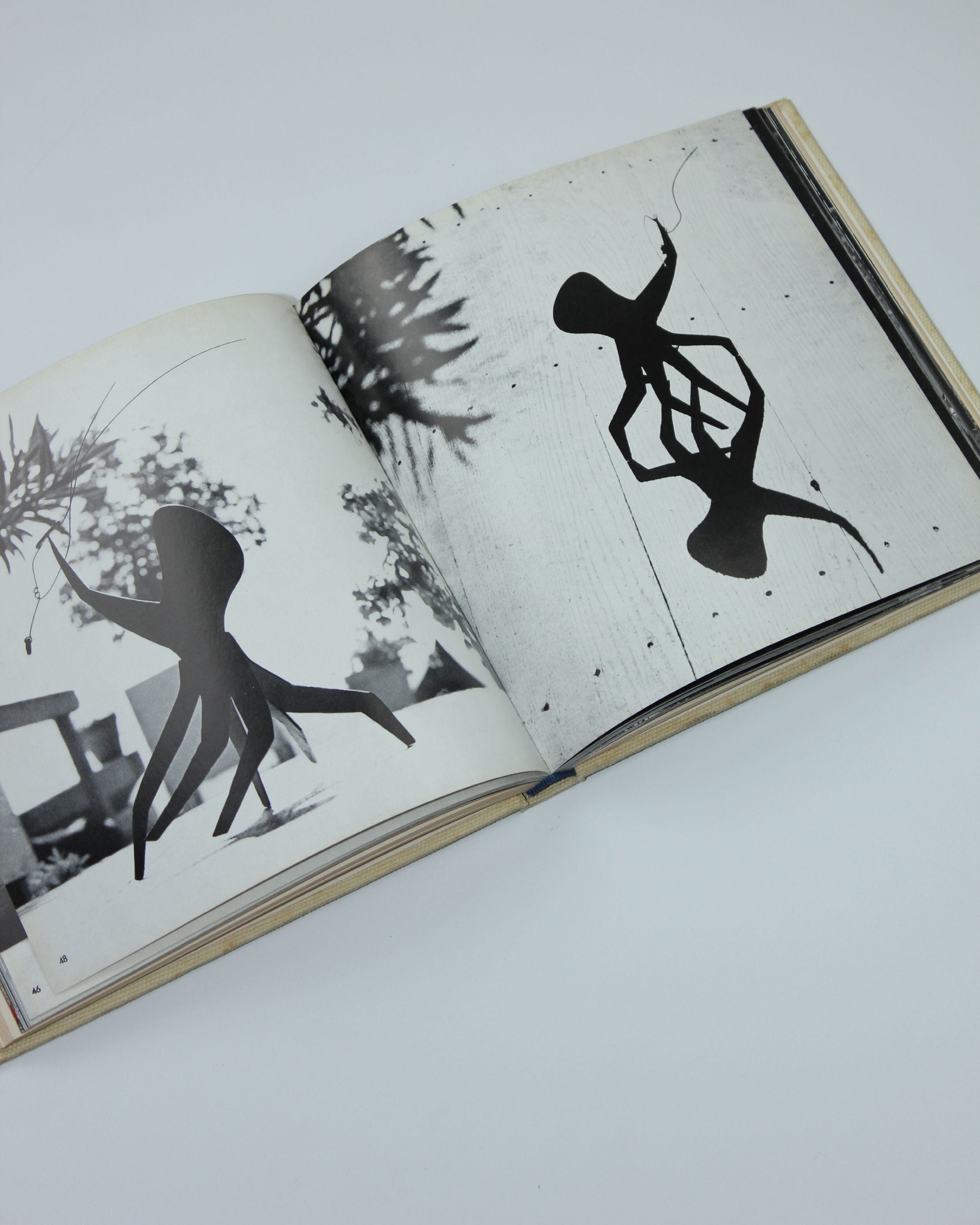 Livre d'art CALDER