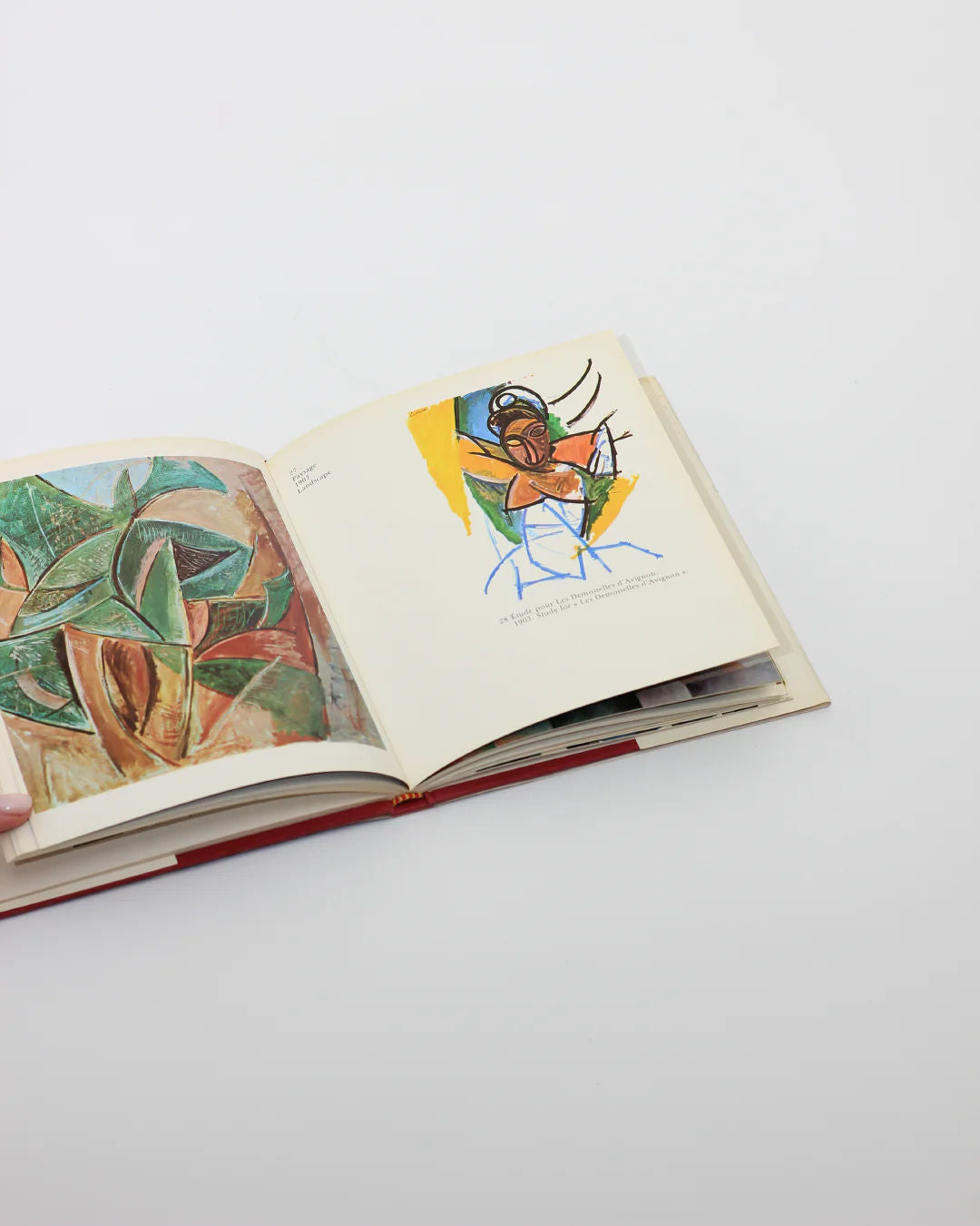 PICASSO Book