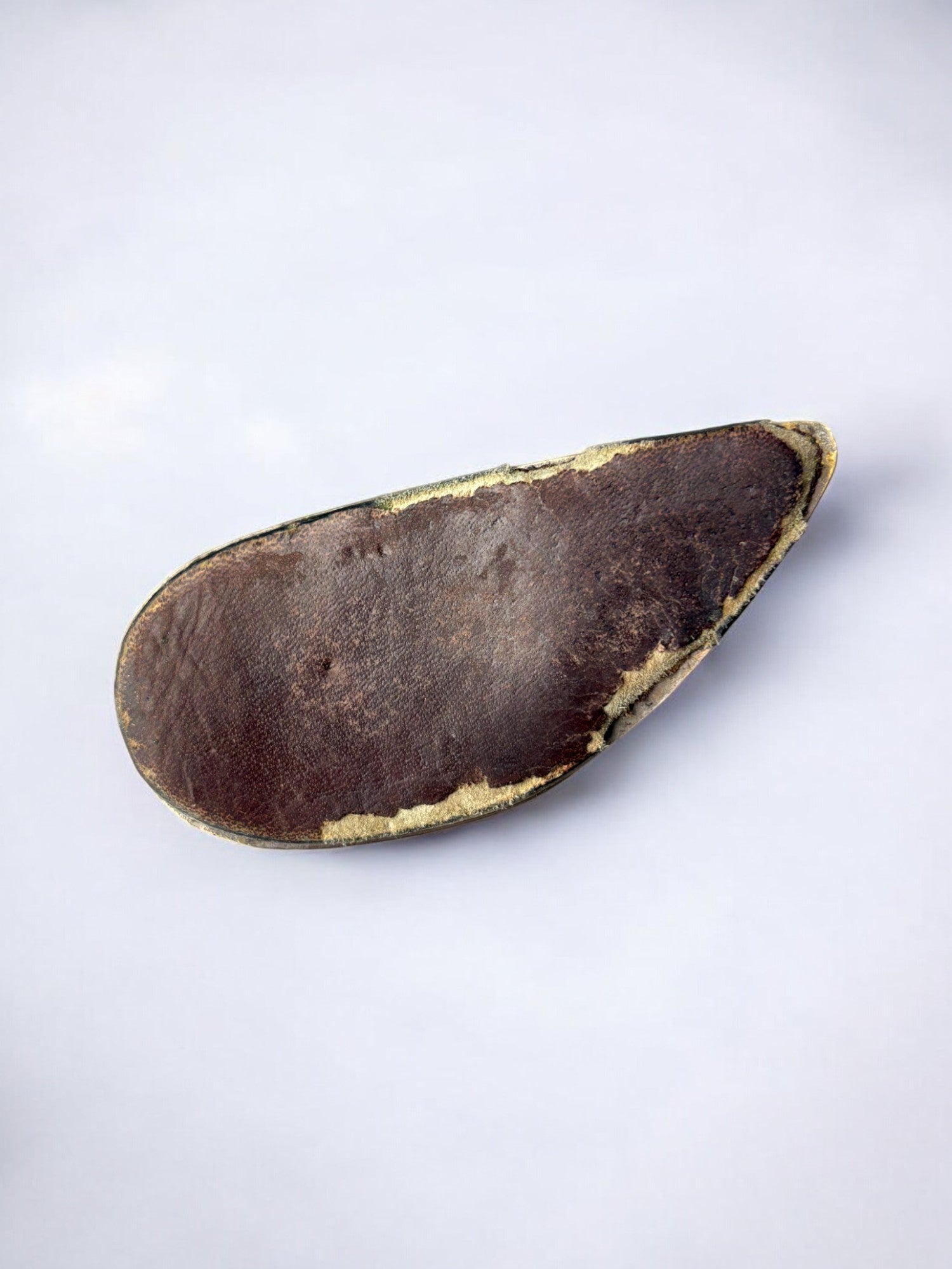 Trombone en Coquille de Moule en Laiton, Italie, Années 1970