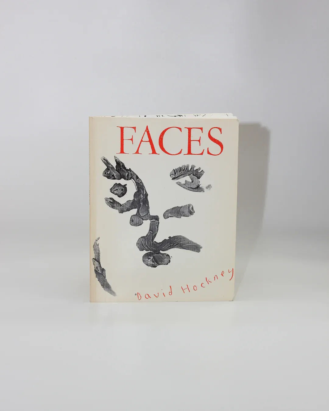 Faces by David Hockney