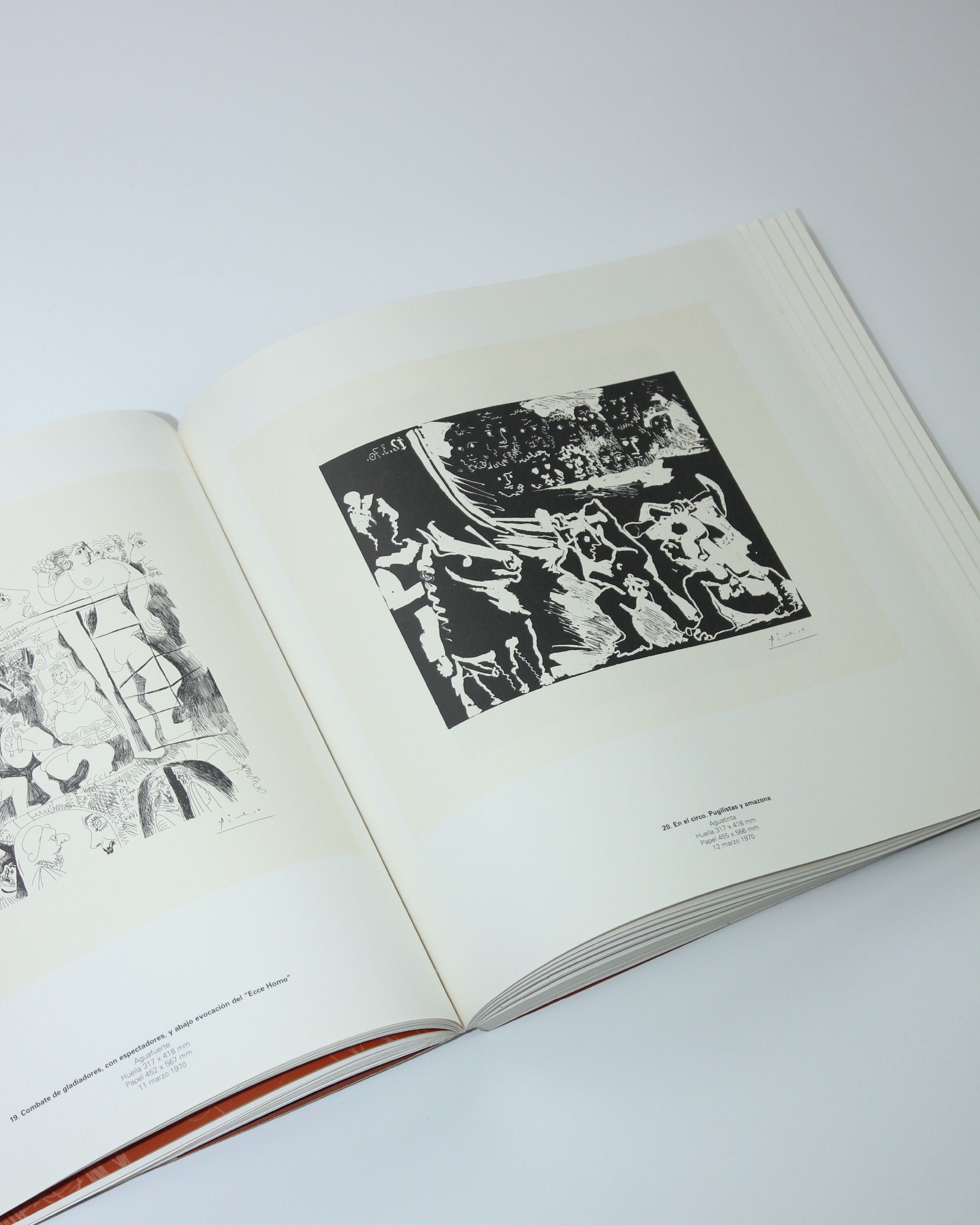 Picasso Suite 156 Book