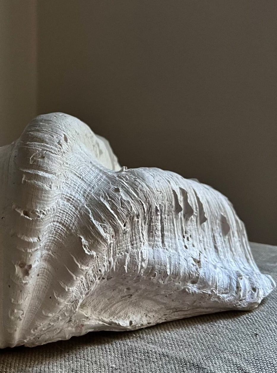 A close-up of the Médecine Clam Shell Bowl—Handmade Plaster Sculpture—features its textured white form resting on beige fabric, sculptural and elegant, with soft natural light and a neutral background.