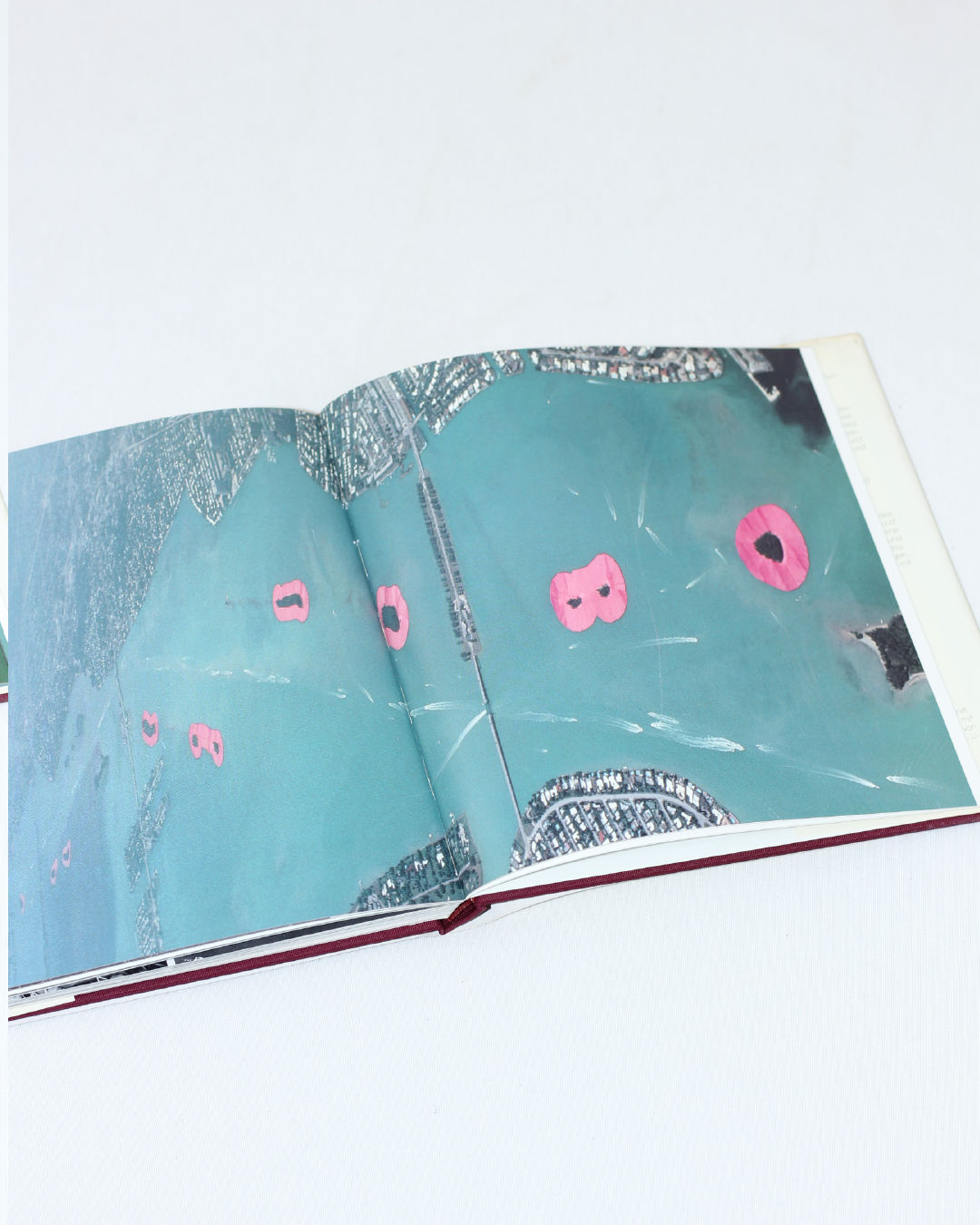 Christo: Surrounded Islands 1980-1983 Book