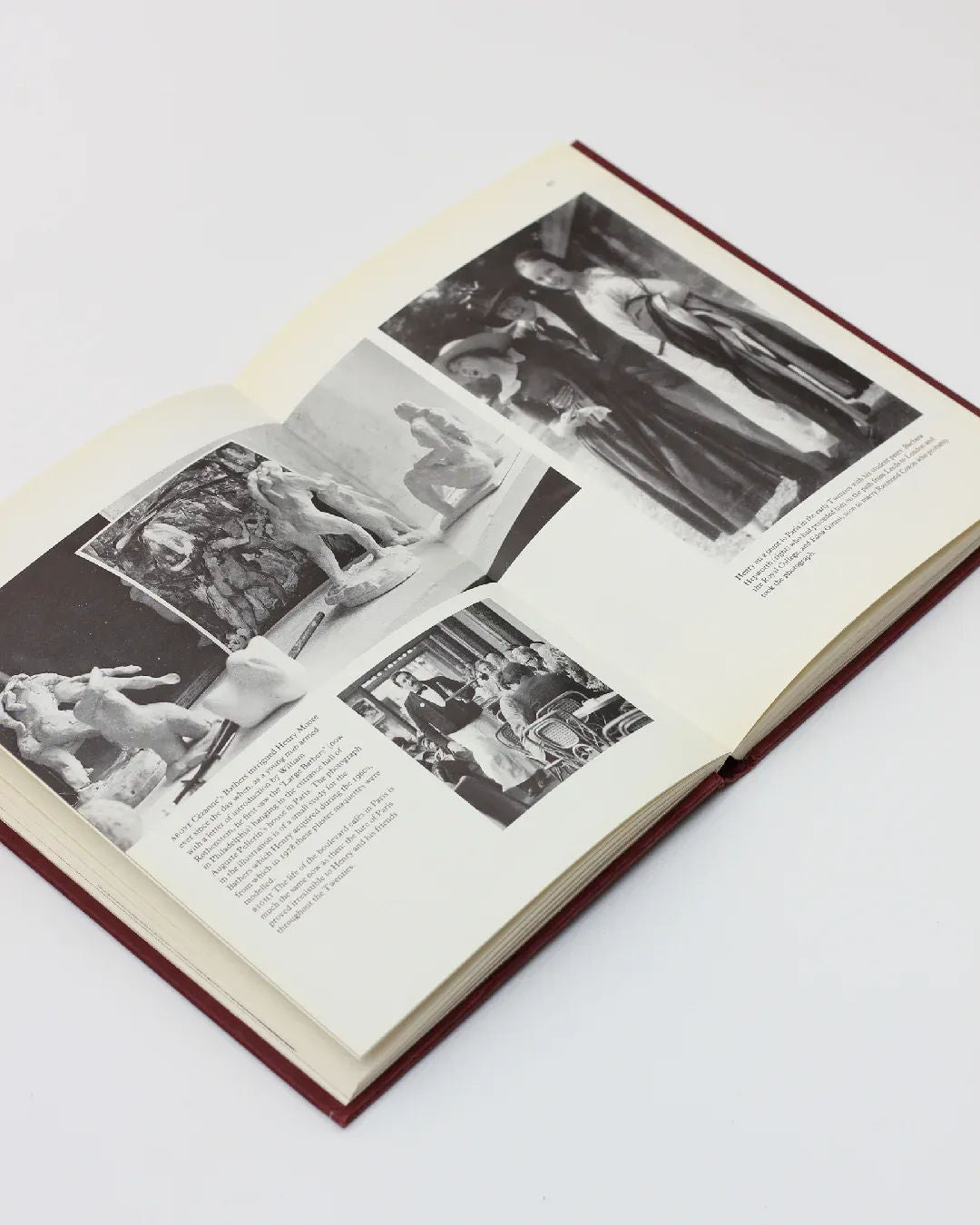 A red-covered edition of "Henry Moore, An Illustrated Biography" by Boga Avante Shop is open to reveal sepia-toned photographs of classical sculptures. On the left page, there are three images accompanied by text, and on the right page, a large image with text is set against a white background, featuring a subtle reference to modern sculpture.