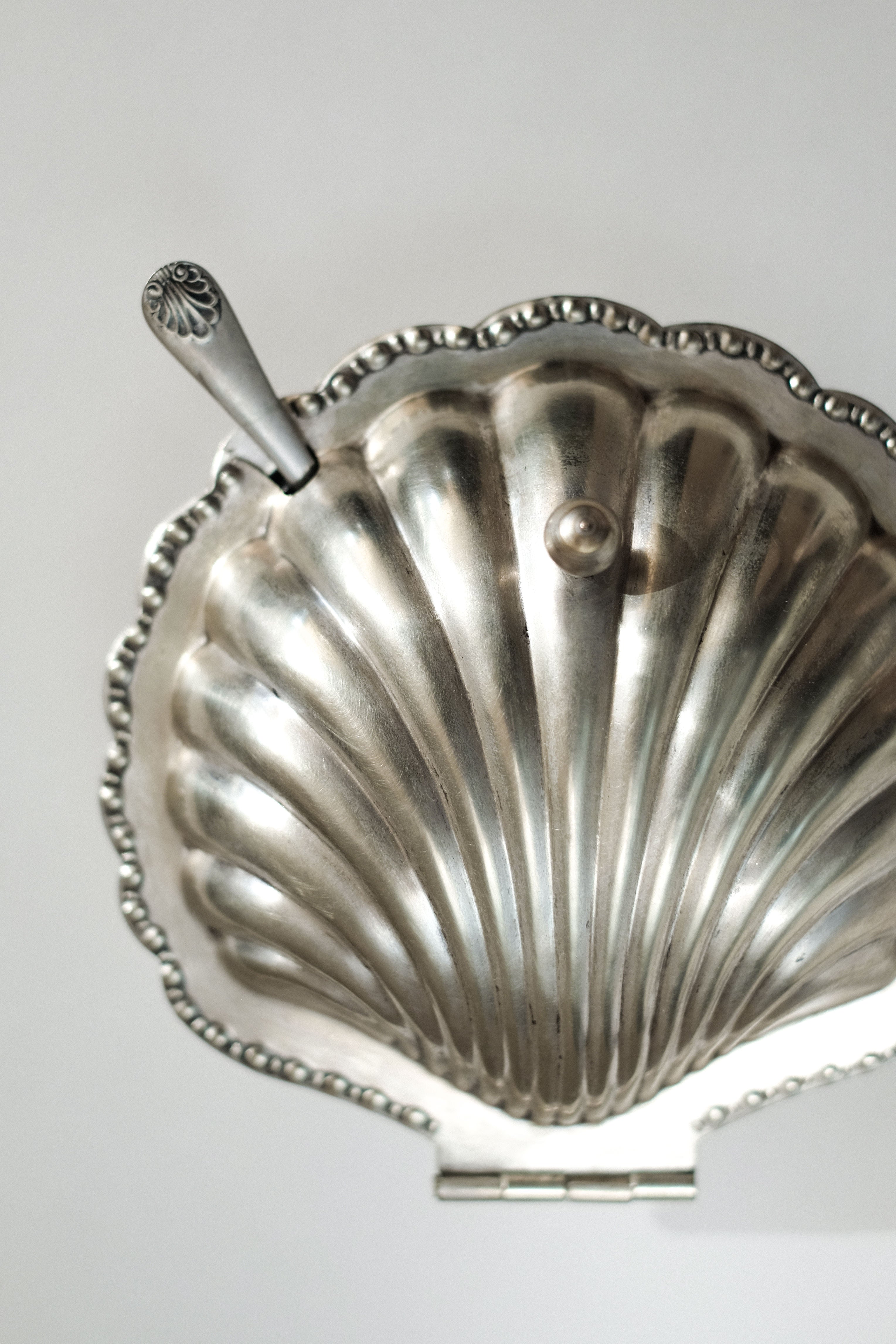 Shell Shaped Butter Dish