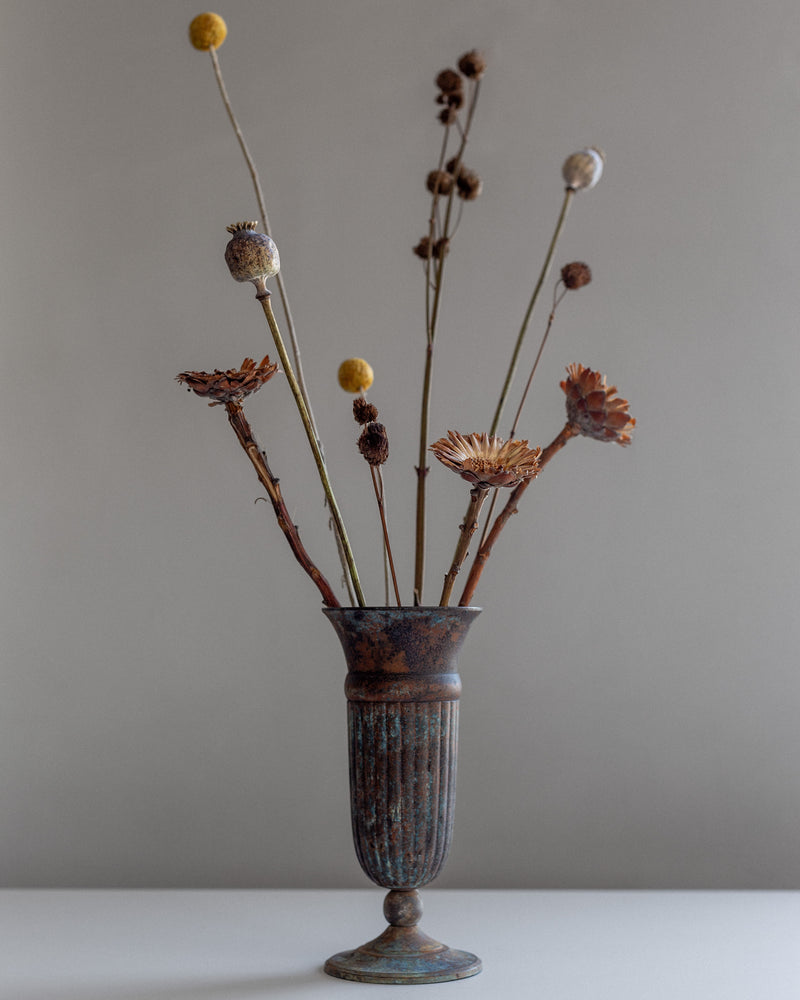 A tall Spigel Vintage Cast Iron Vase elegantly displays an arrangement of dried flowers and seed pods with long, slender stems against a simple, neutral background.