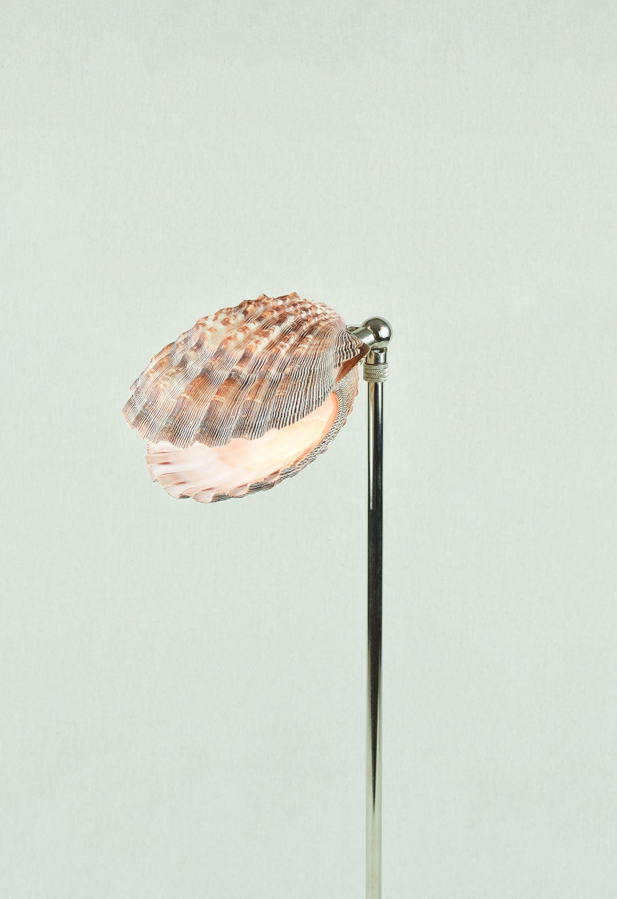 'Lavender Lion's Paw' Table Lamp