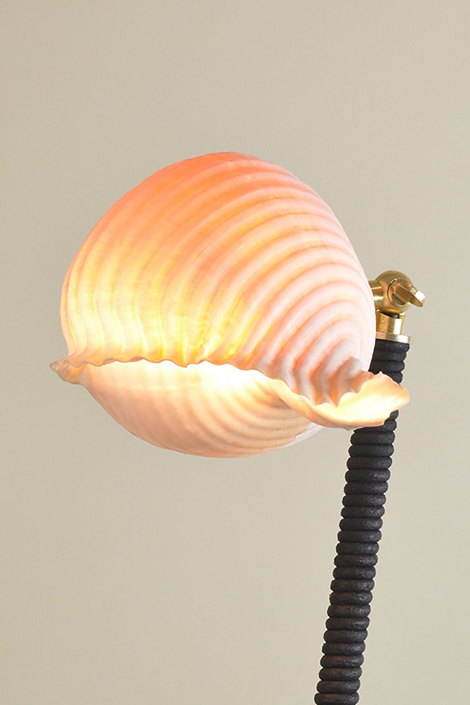 'L’Escargot' Table Lamp