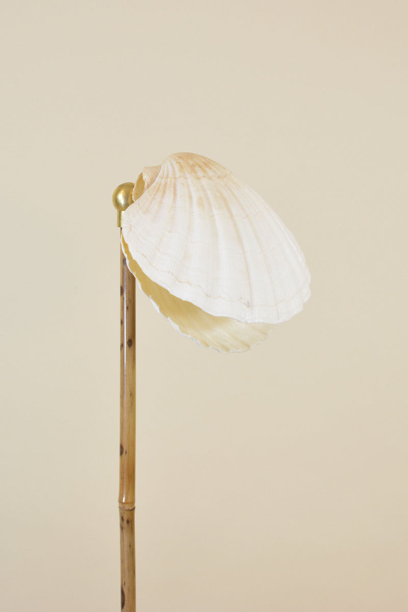 Shell-shaped lampshade detail of Sanremo bamboo reading lamp
