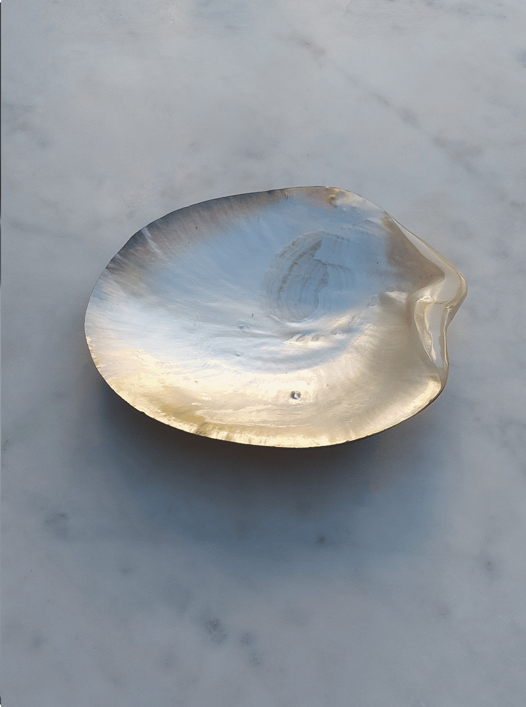 Mother-of-pearl Vide-poches