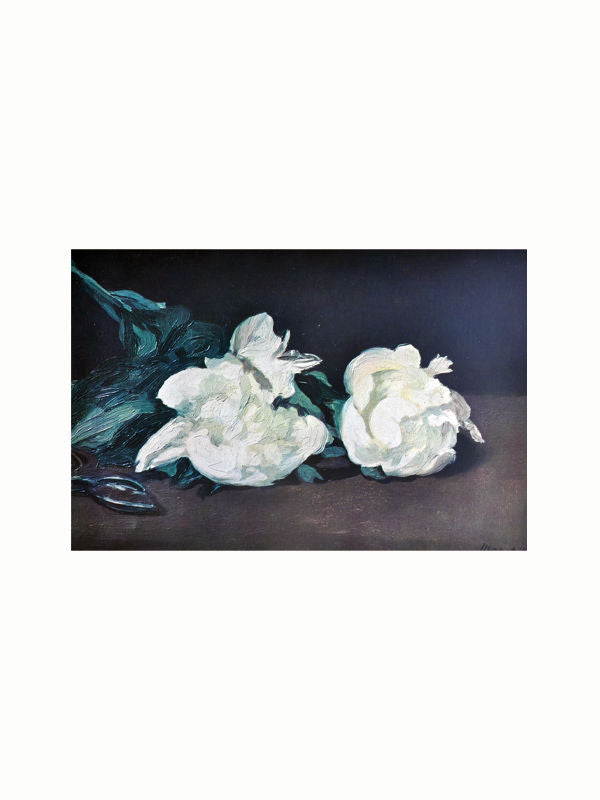 Oil painting of two white peonies with dark green leaves and a subdued, dark background, emphasizing the detailed texture and softness of the flower petals, inspired by Maison Plage's "The Impressionists - The Great Century of French Art.