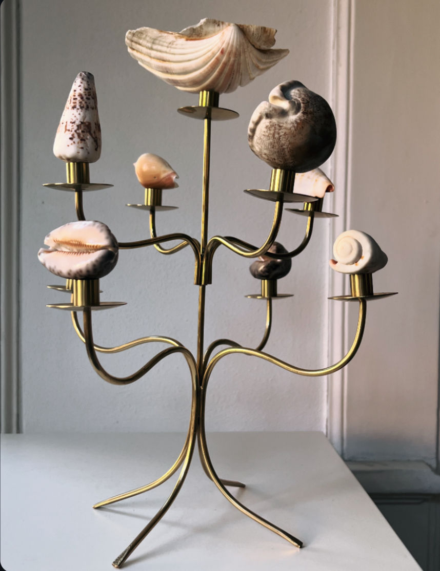 A Médecine Josef Frank Candle Holder, adorned with eight unique seashells on each brass arm, rests elegantly on a white surface against a light-colored wall. The varied shapes, sizes, and colors of the seashells create an exquisite statement piece inspired by Svenskt Tenn design.