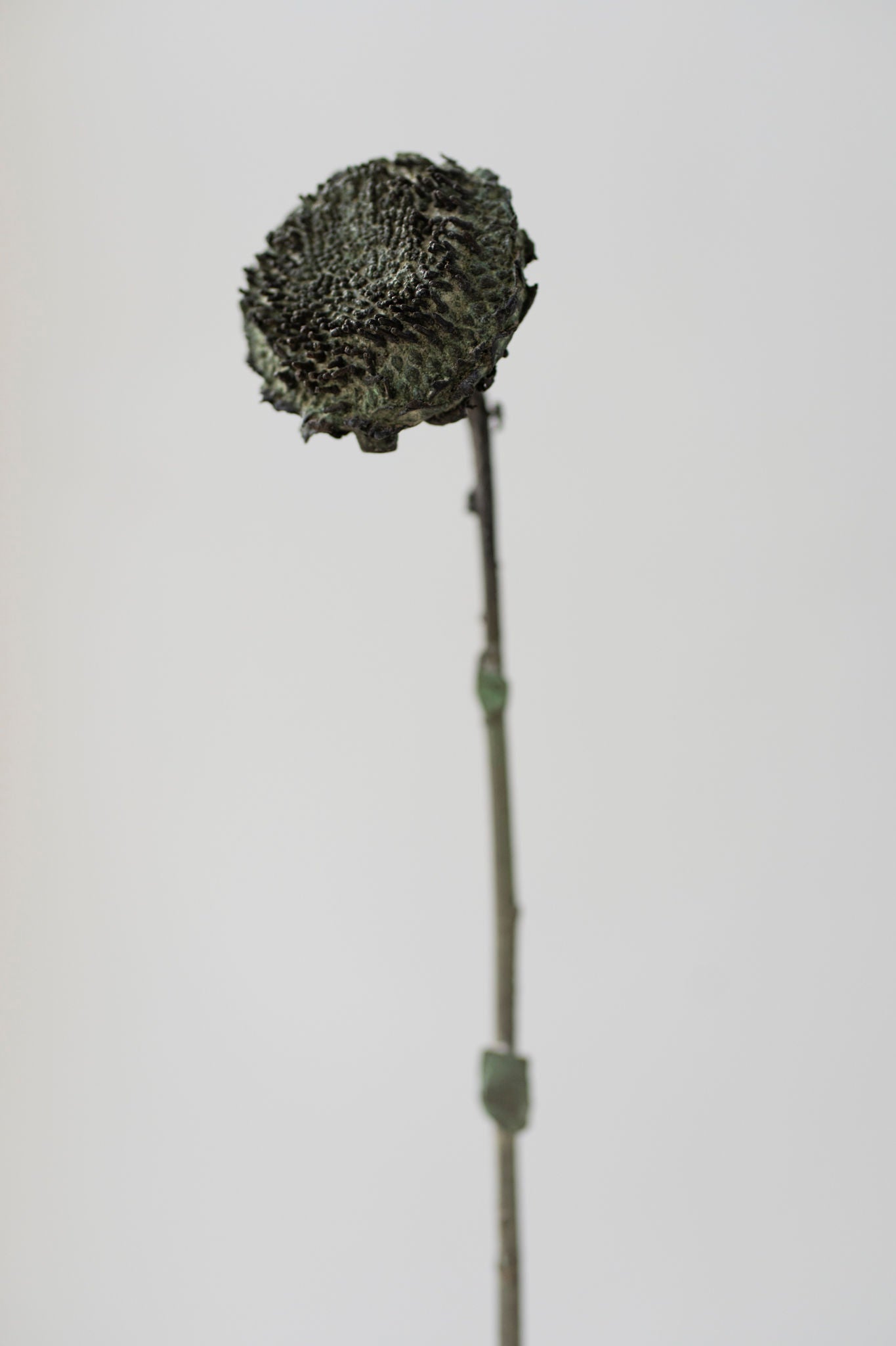 'Blossom After Burial, 2025' Sculpture