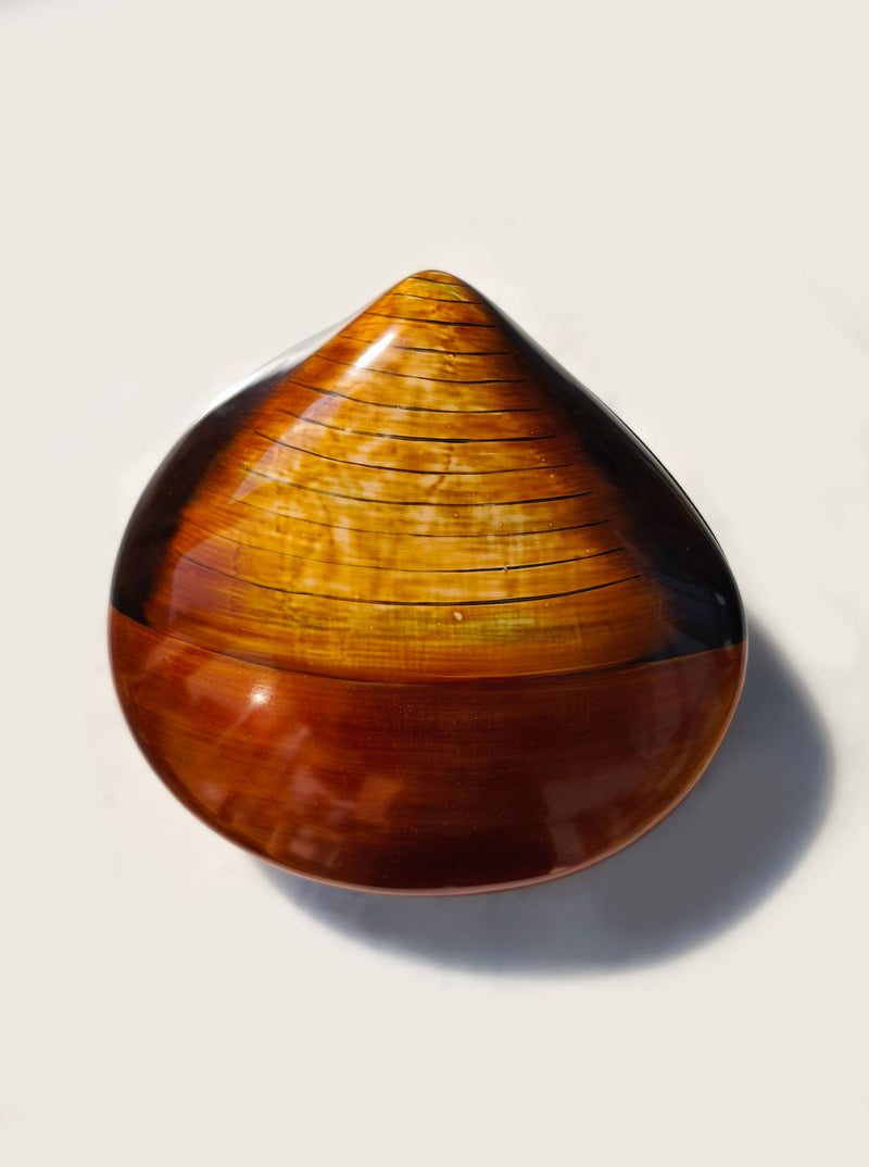 Large amber Bakelite shell-shaped decorative box with ridged surface