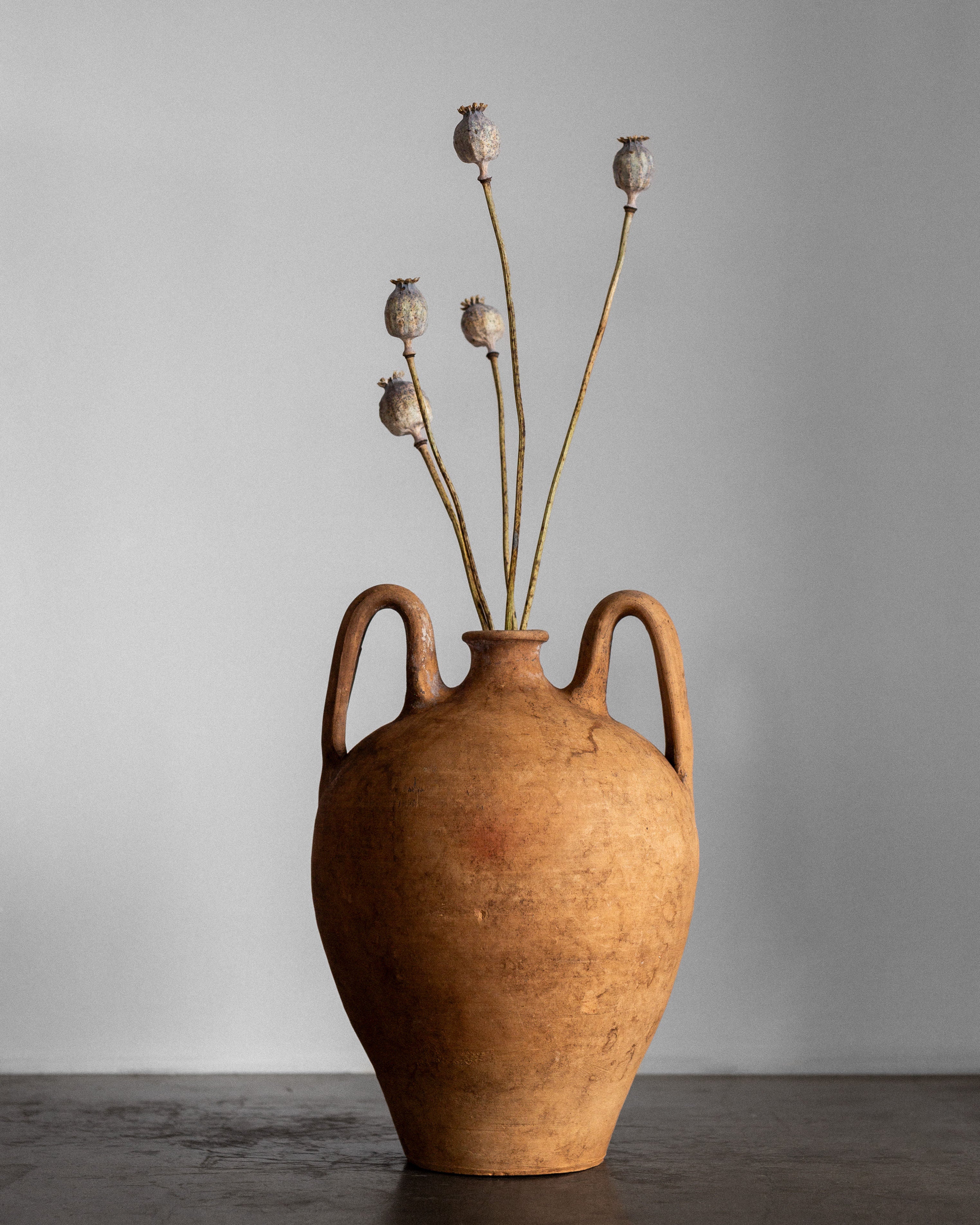 The Early 20th Century European Ceramic Vase by Spigel, a rustic earthenware piece with two handles, cradles tall dried poppy seed pods on slender stems. It rests on a dark surface against a plain gray background, exuding timeless European pottery charm.