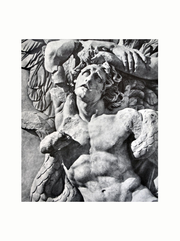 Black and white image of a classical statue depicting a muscular man with a distressed expression, battling or being entangled by a snake. Reflective of Greek culture, his face and upper body are prominently detailed while the serpent coils around his torso and arms. Discover more in "The Greek World: Classical, Byzantine, and Modern" by Maison Plage.