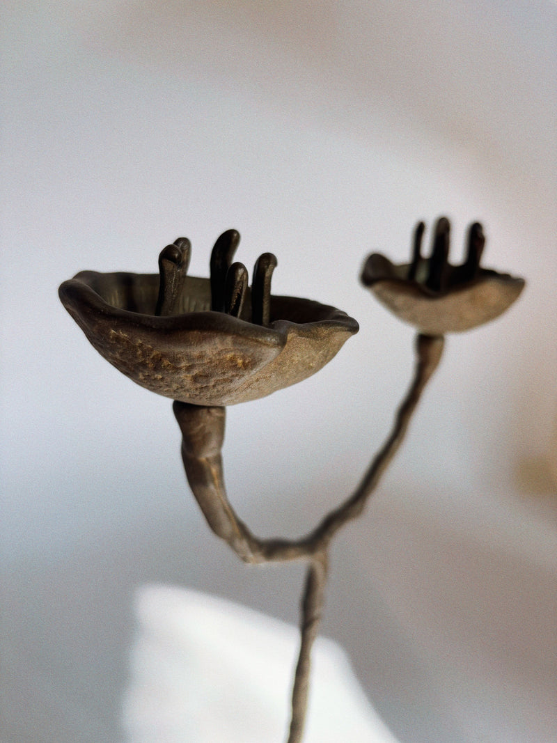 Close-up of two dried seed pods on twisting stems against a neutral backdrop, their forms echoing the organic curves of the Huerto 2 Arm Bronze Flower Candelabra.