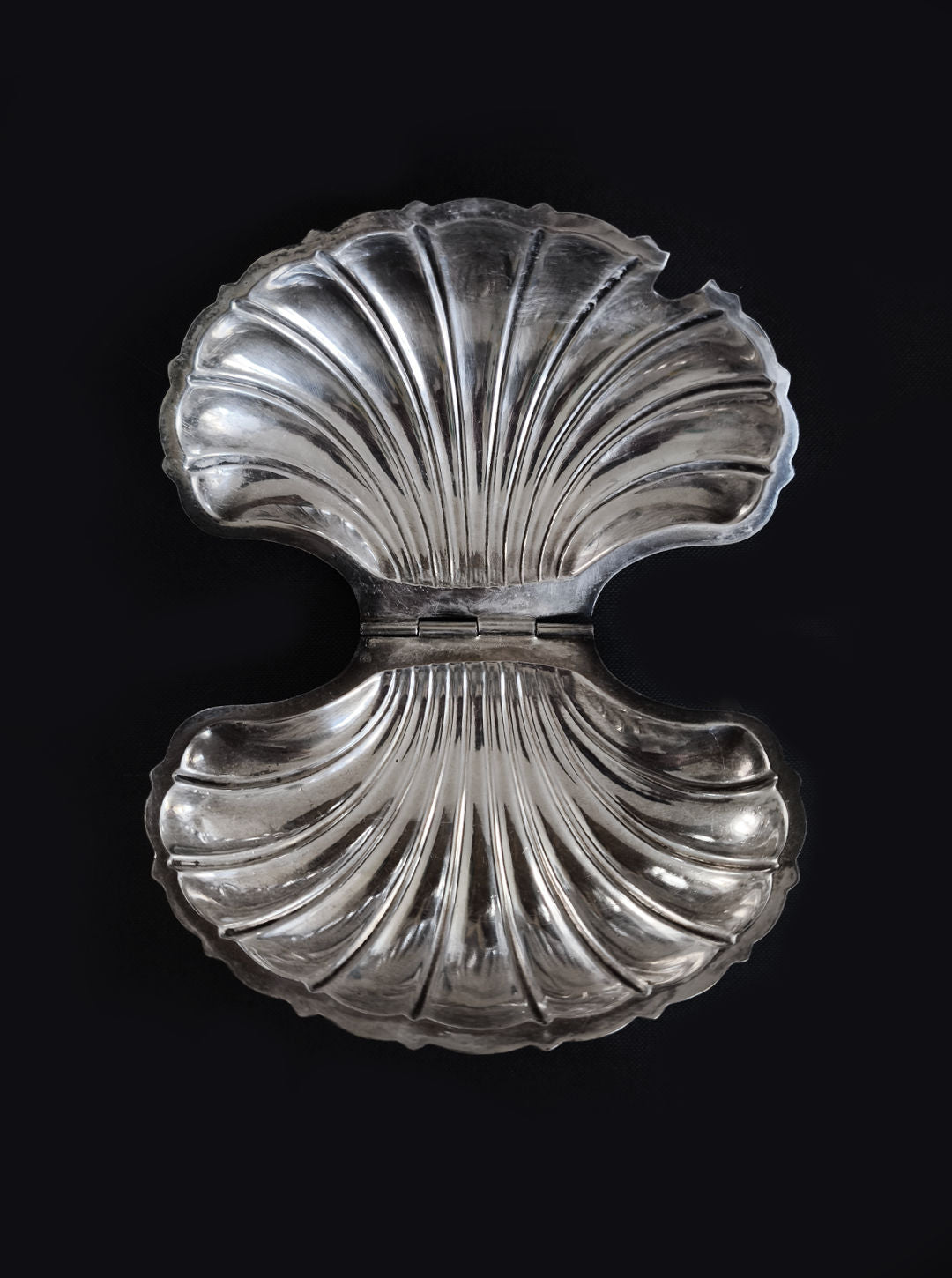 Shell Box